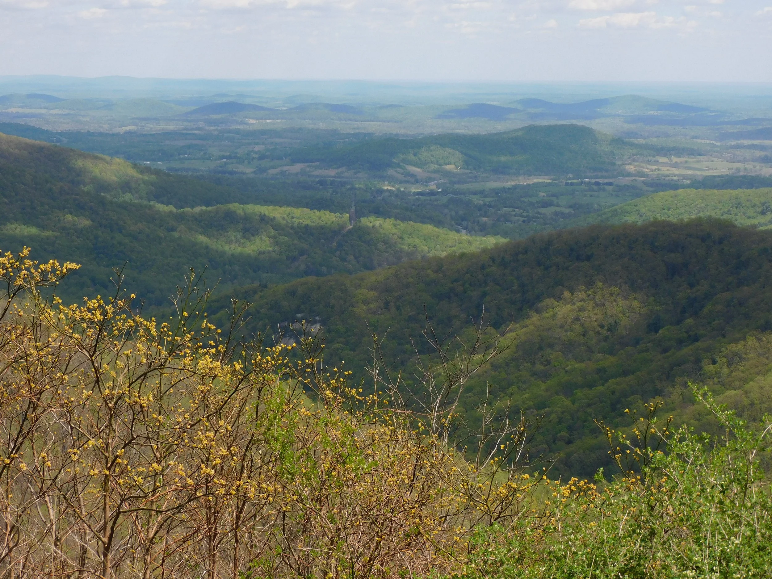 DSCN4885.JPG