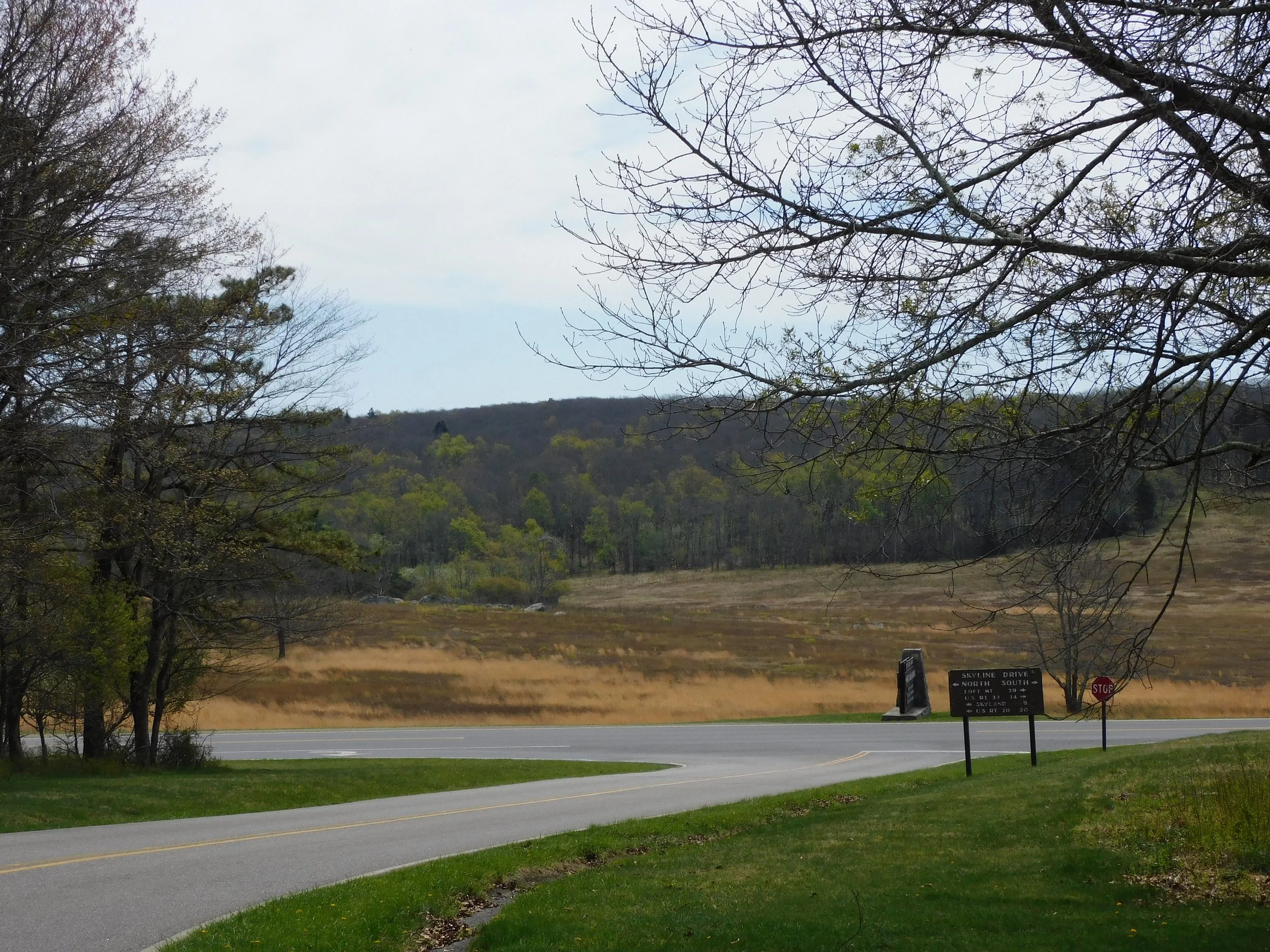 DSCN5148.JPG