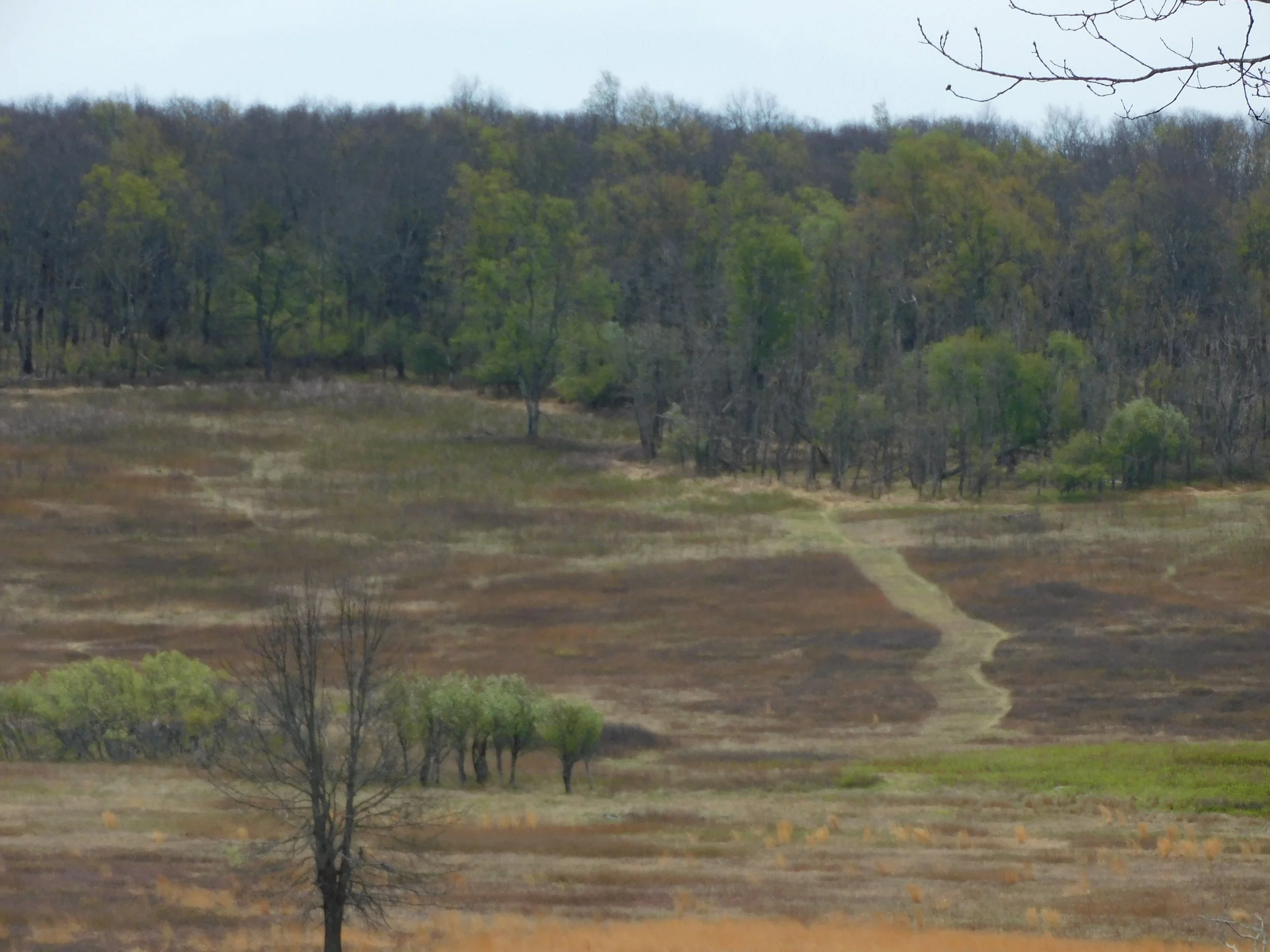 DSCN5149.JPG
