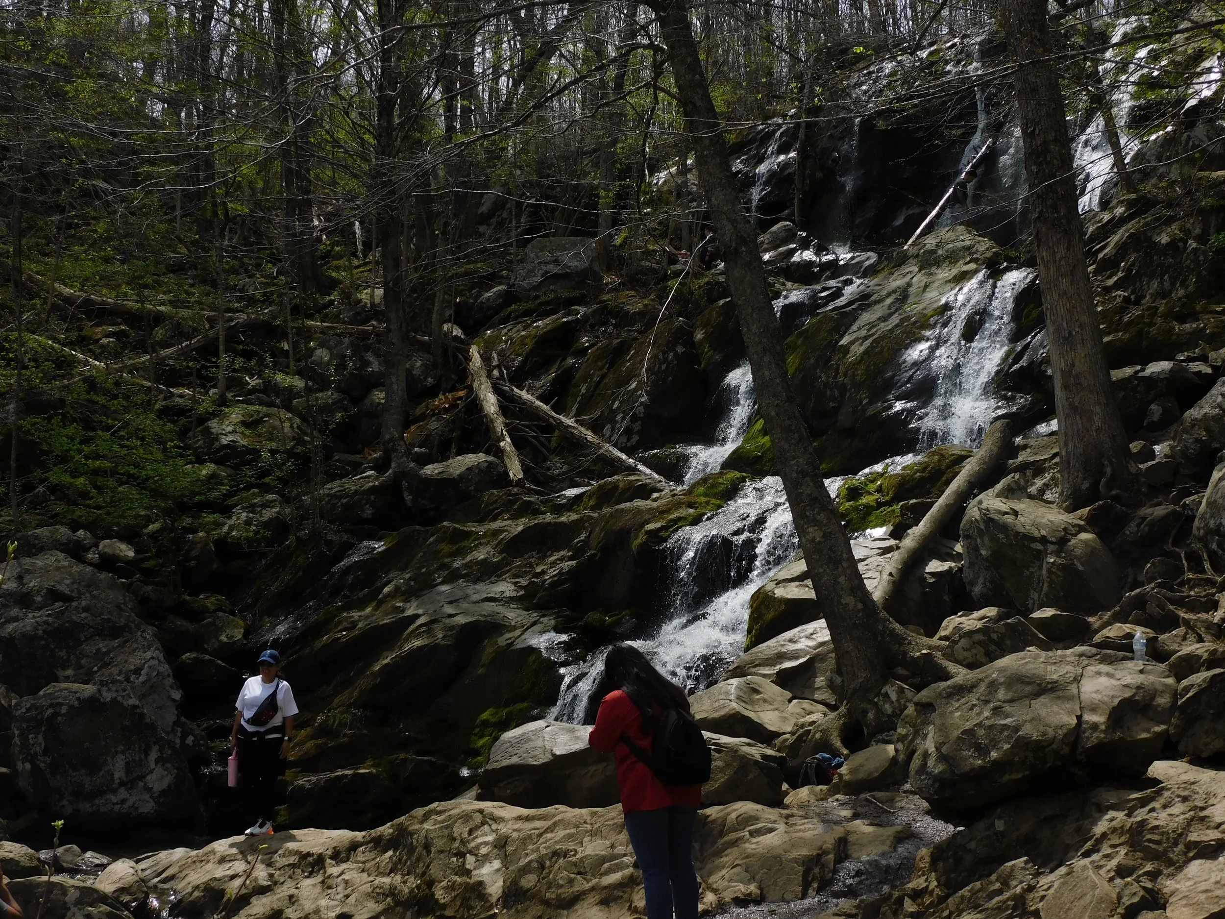 DSCN5172.JPG
