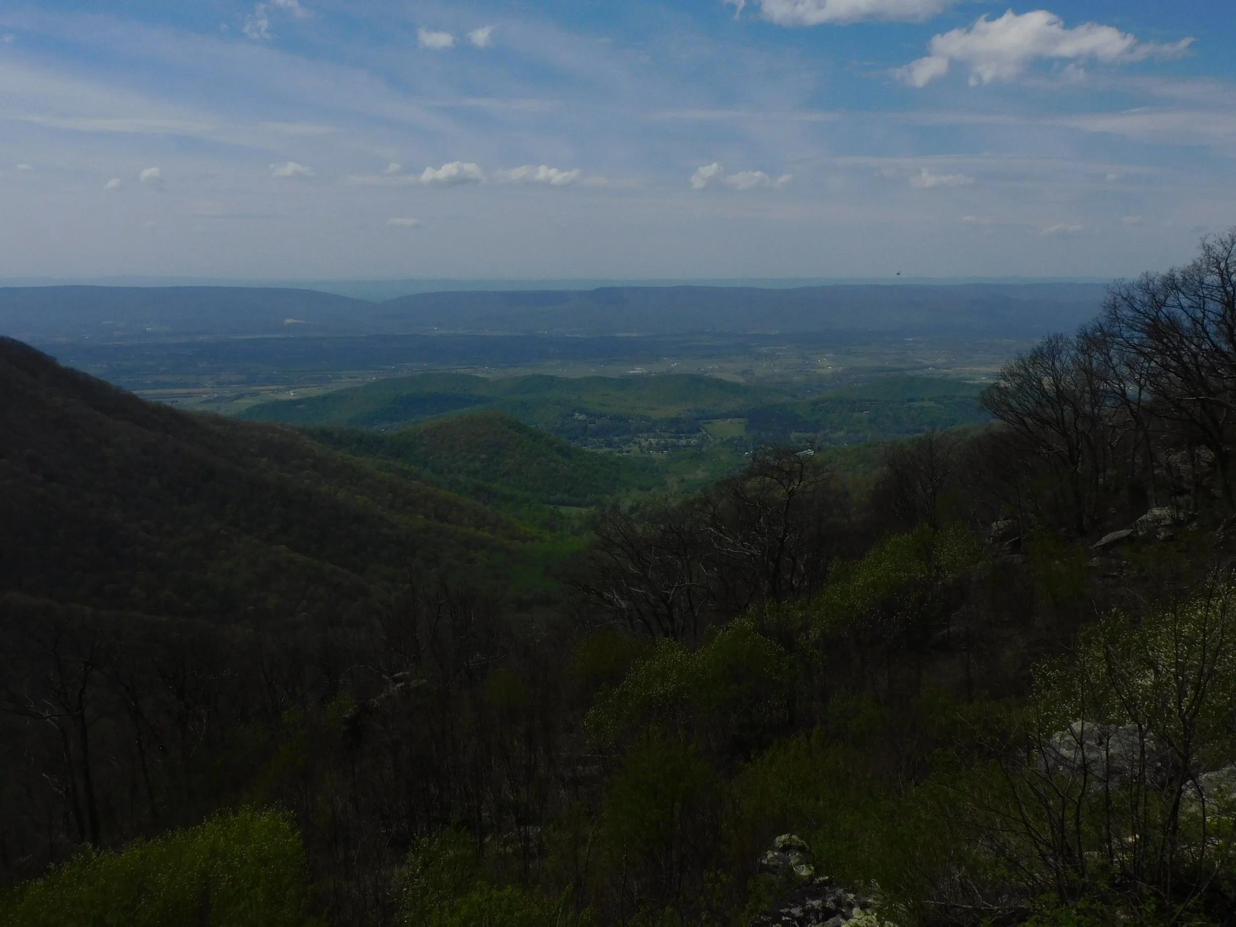 DSCN5203.JPG