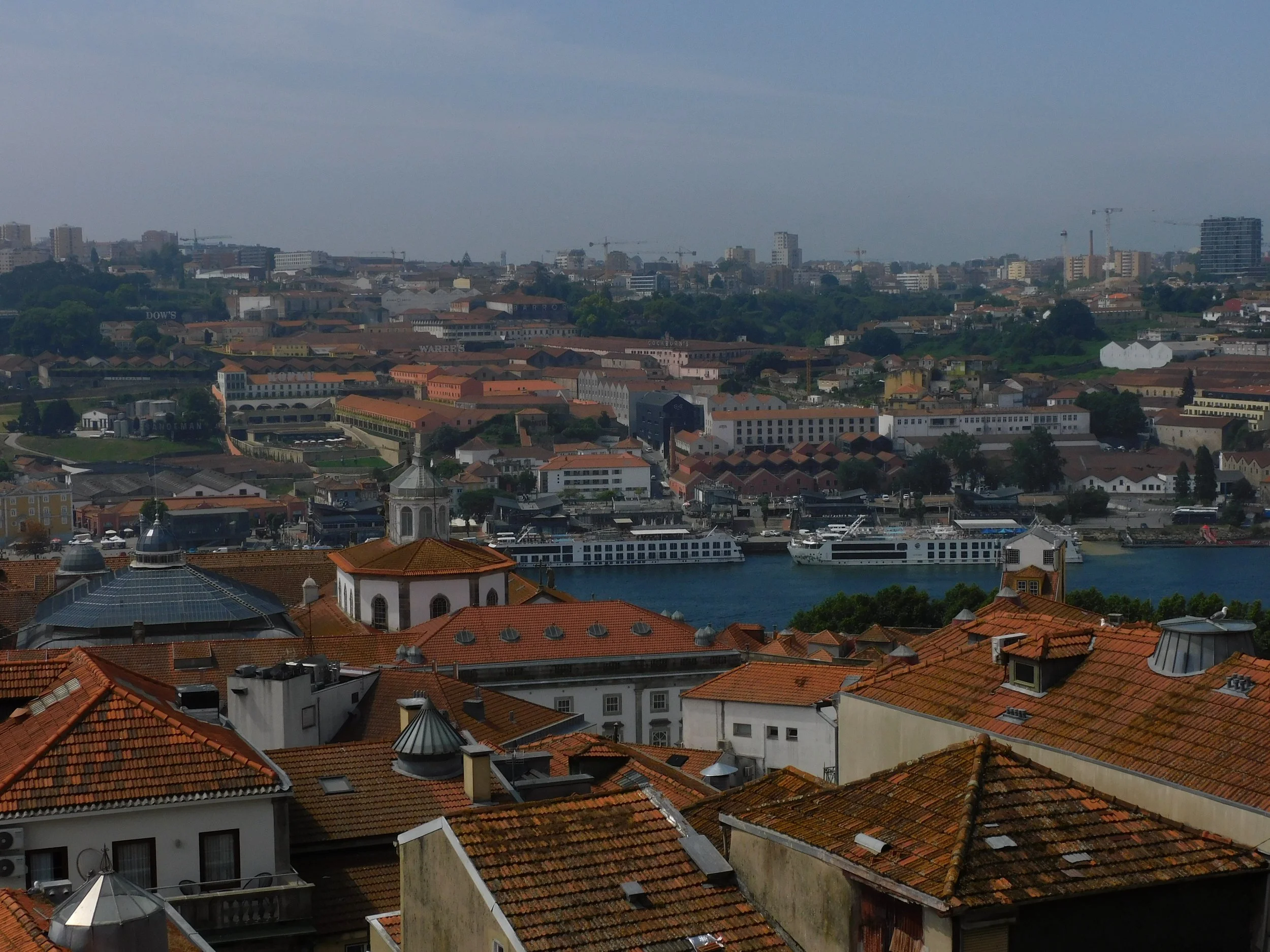 DSCN5531.JPG
