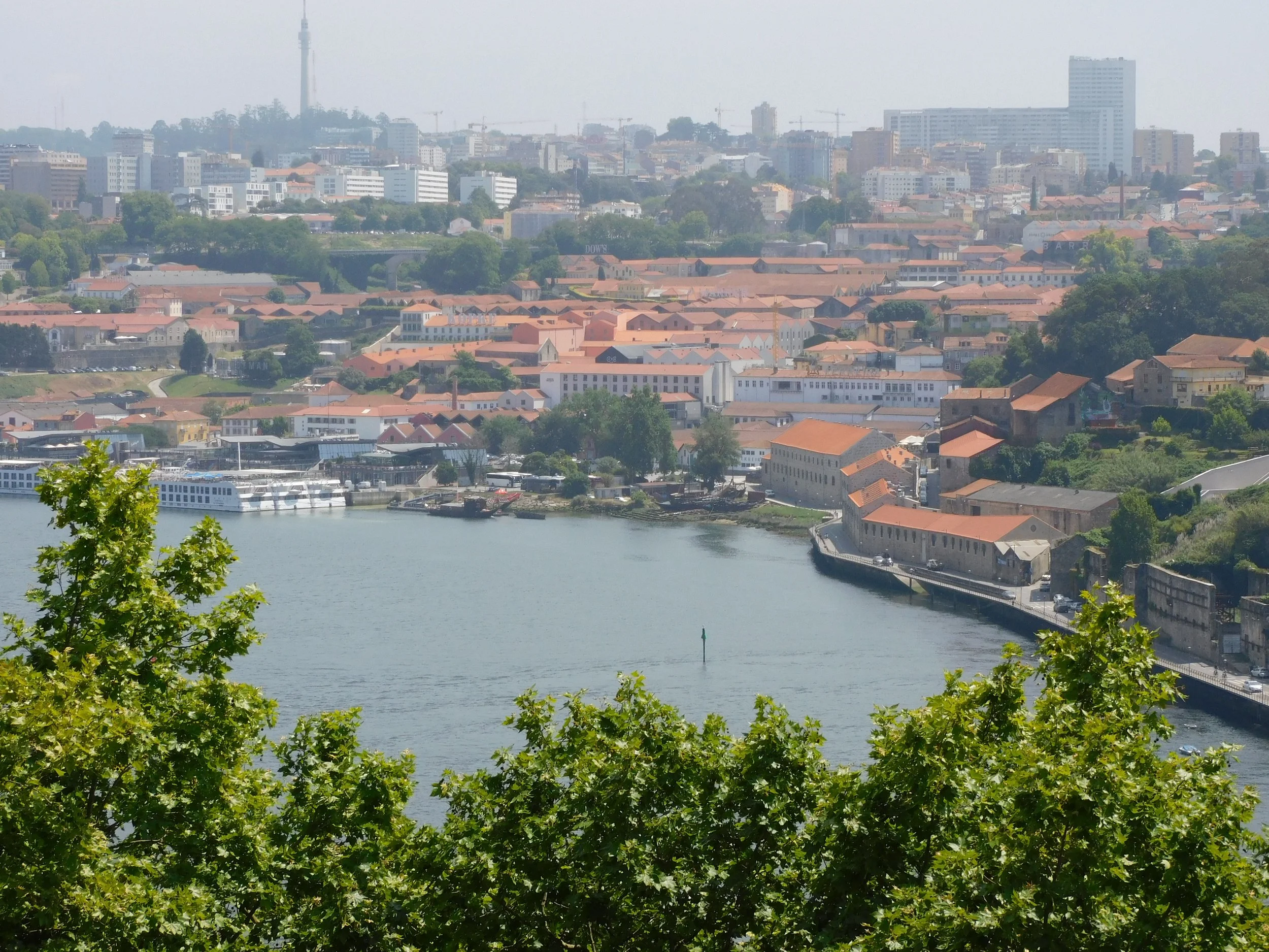 DSCN5599.JPG