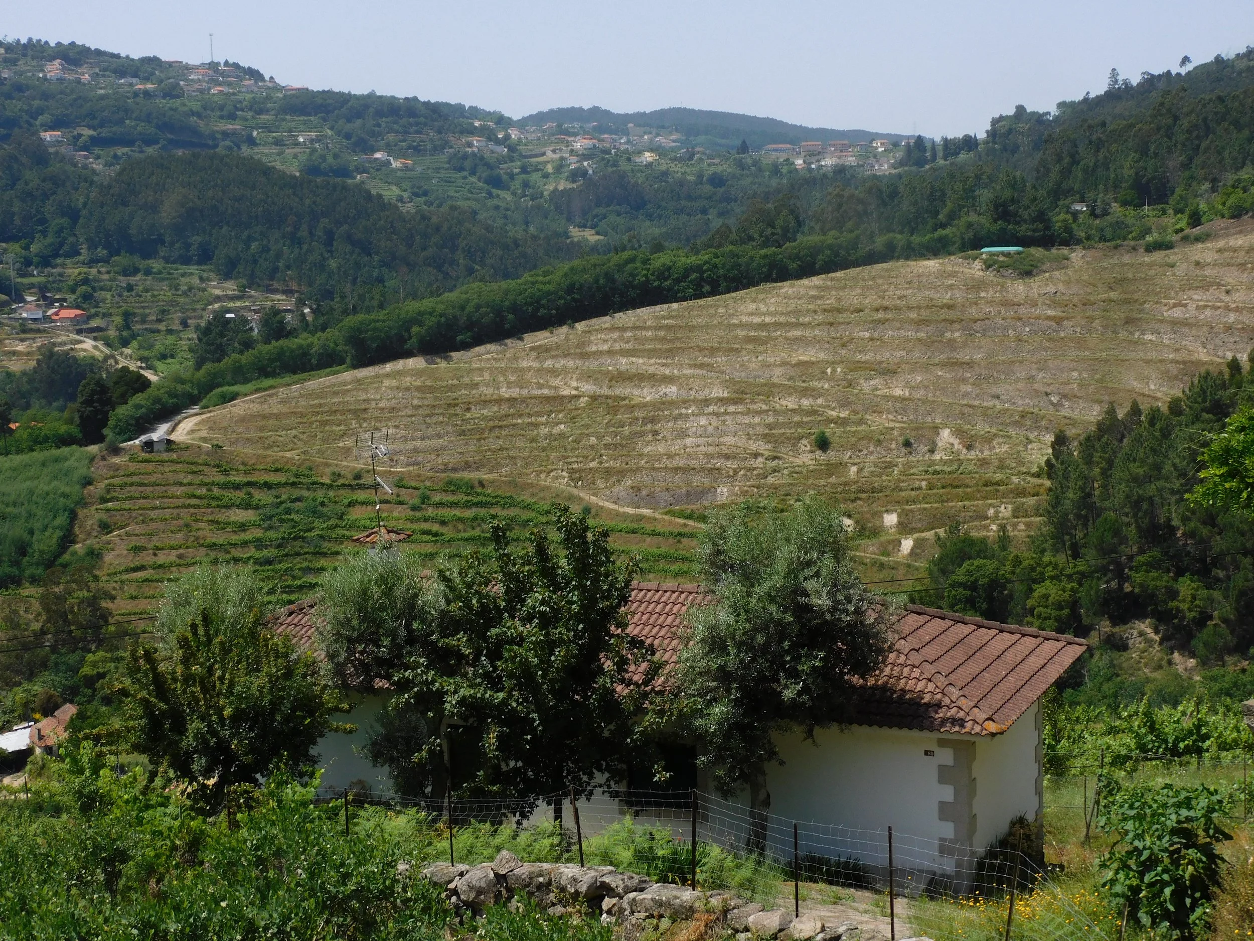 DSCN5855.JPG