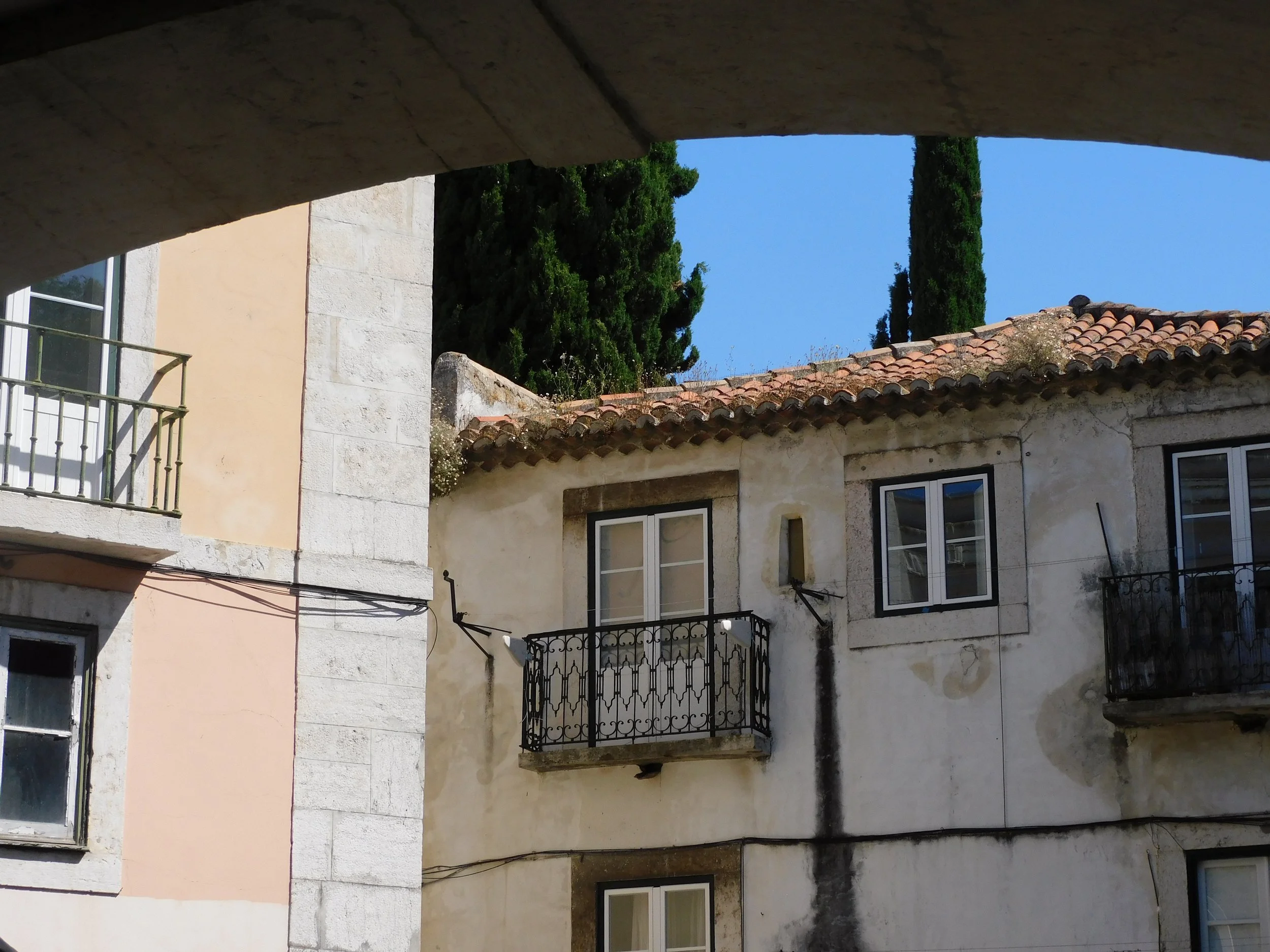DSCN6092.JPG