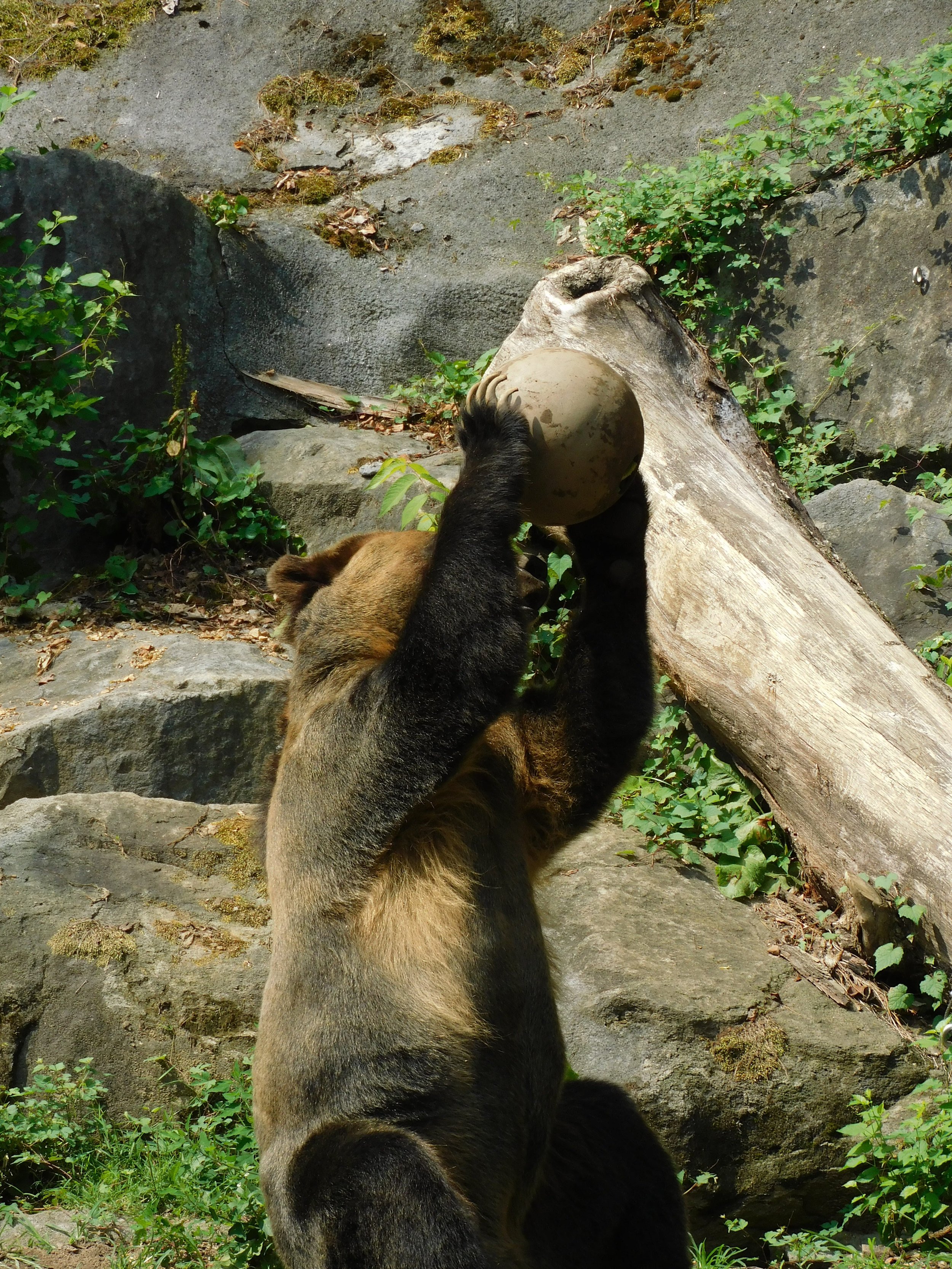 DSCN6749.JPG