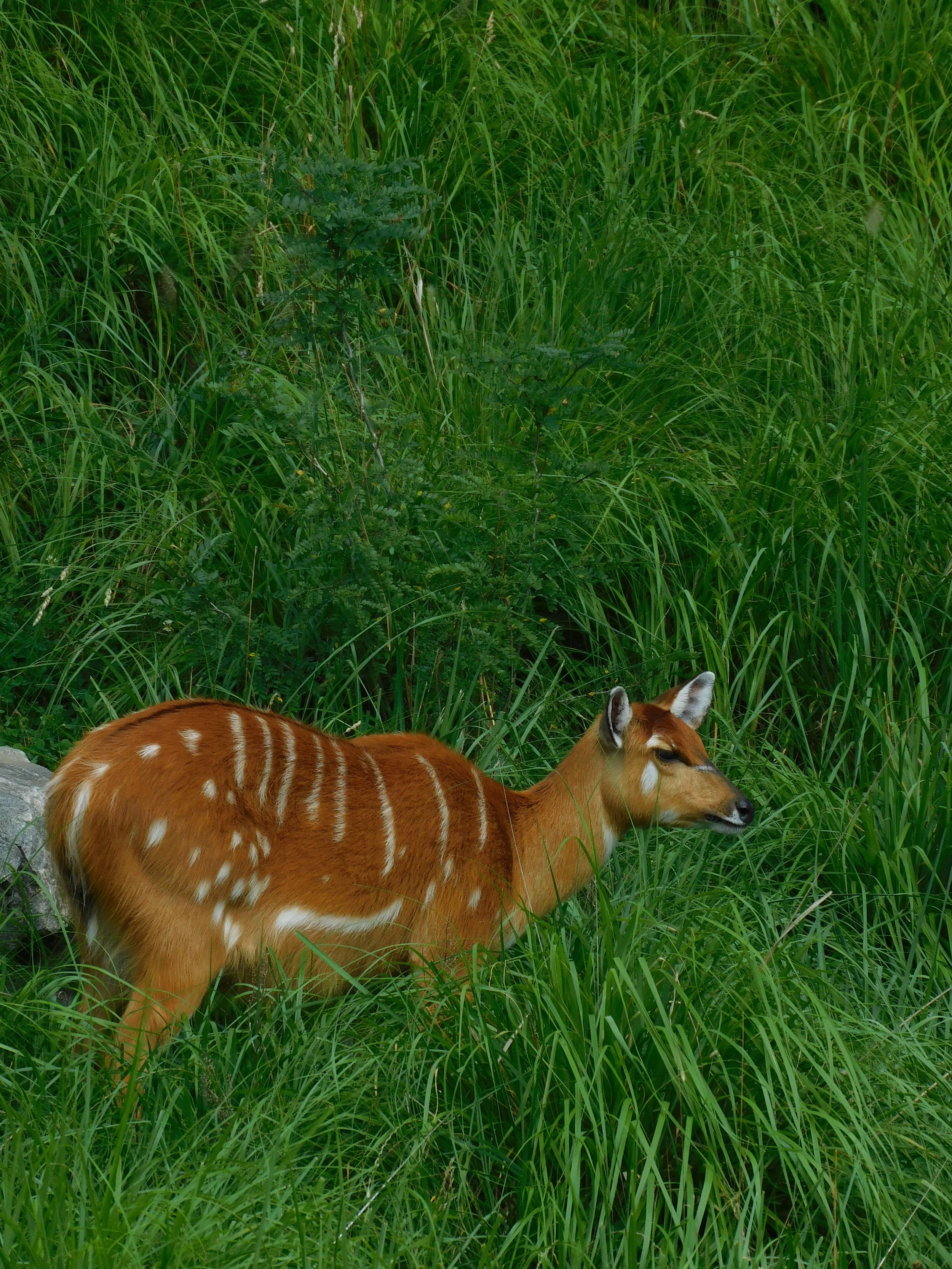 DSCN6758.JPG