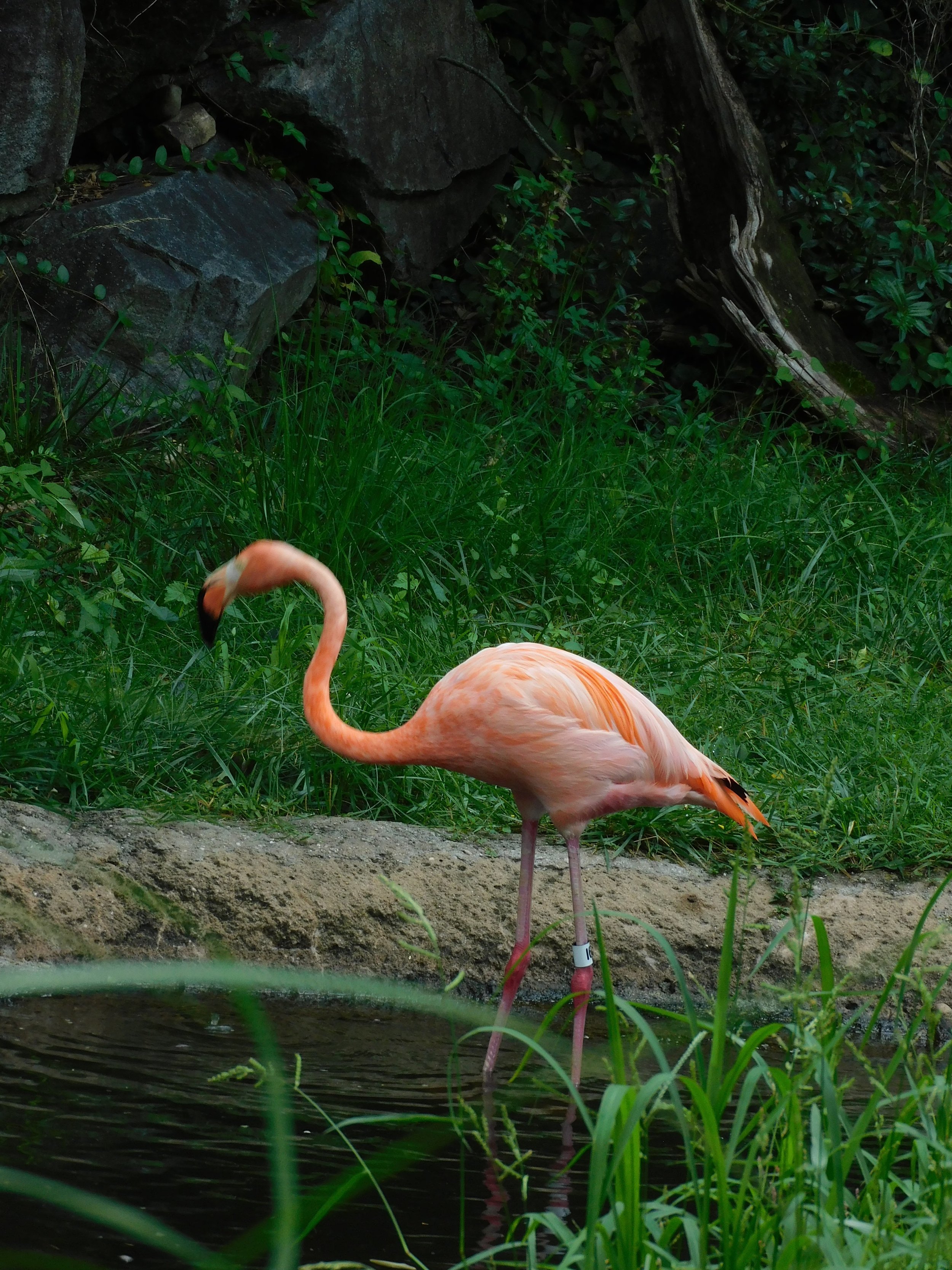 DSCN6774.JPG