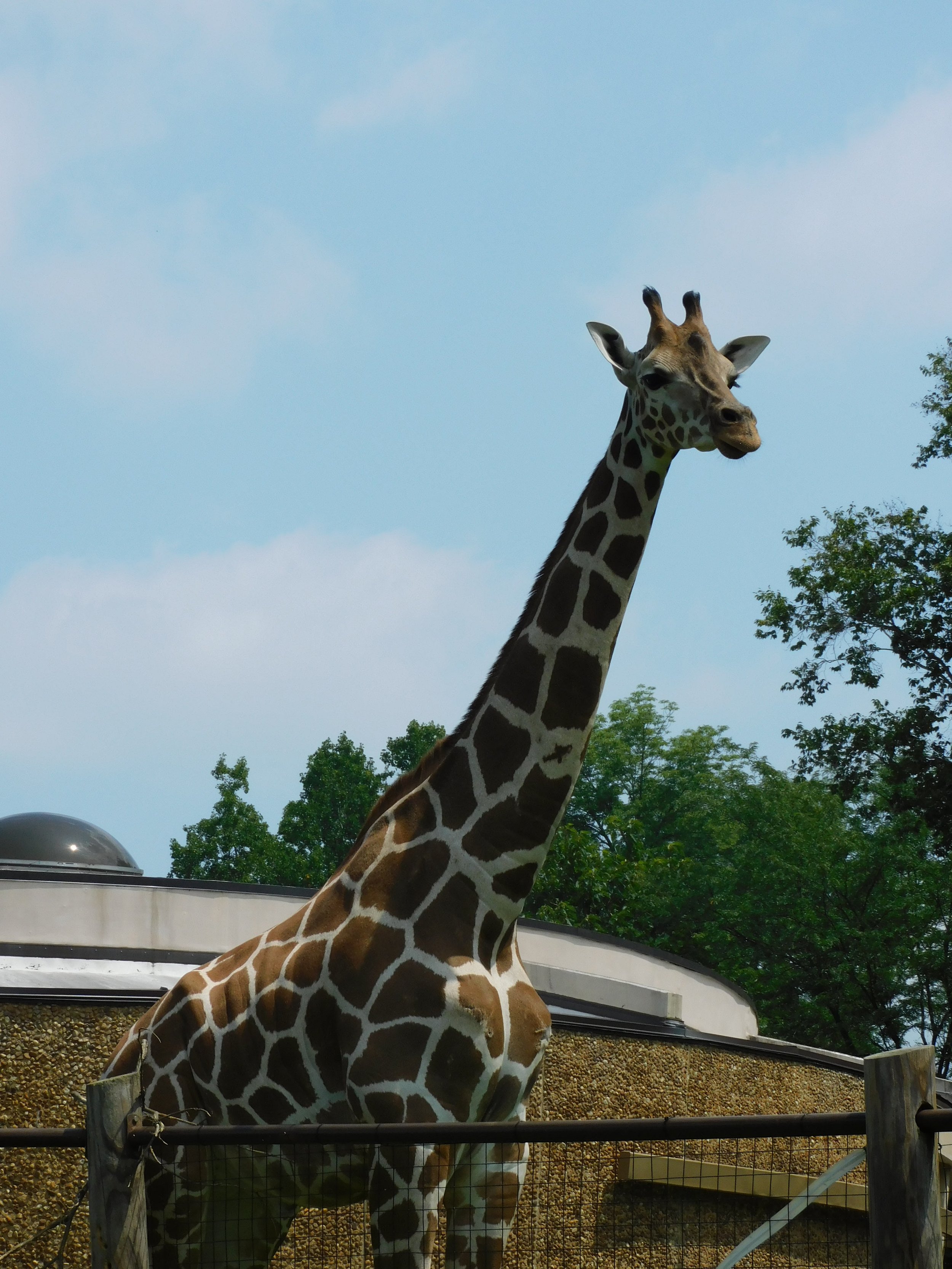 DSCN6810.JPG