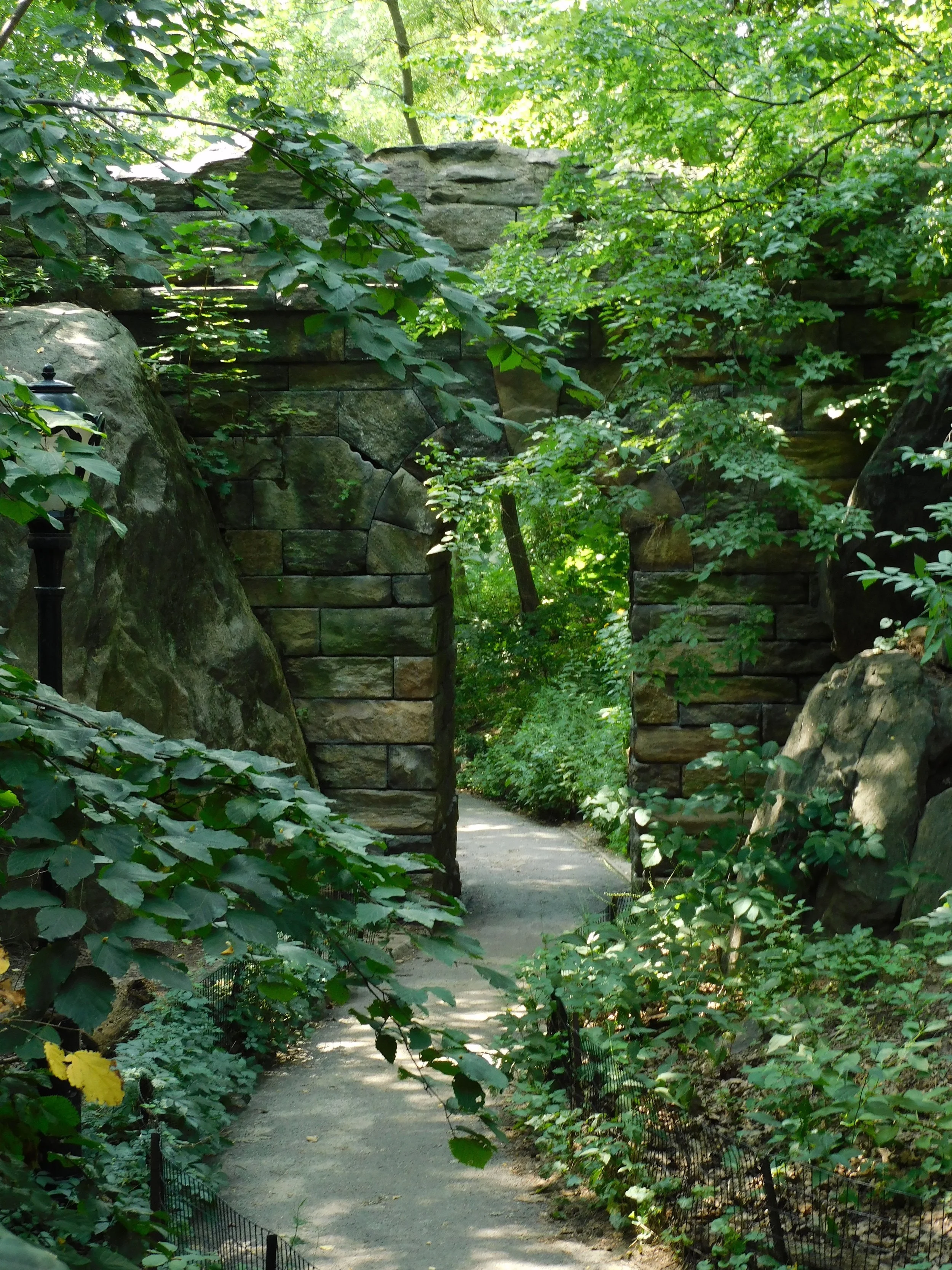 DSCN6872.JPG