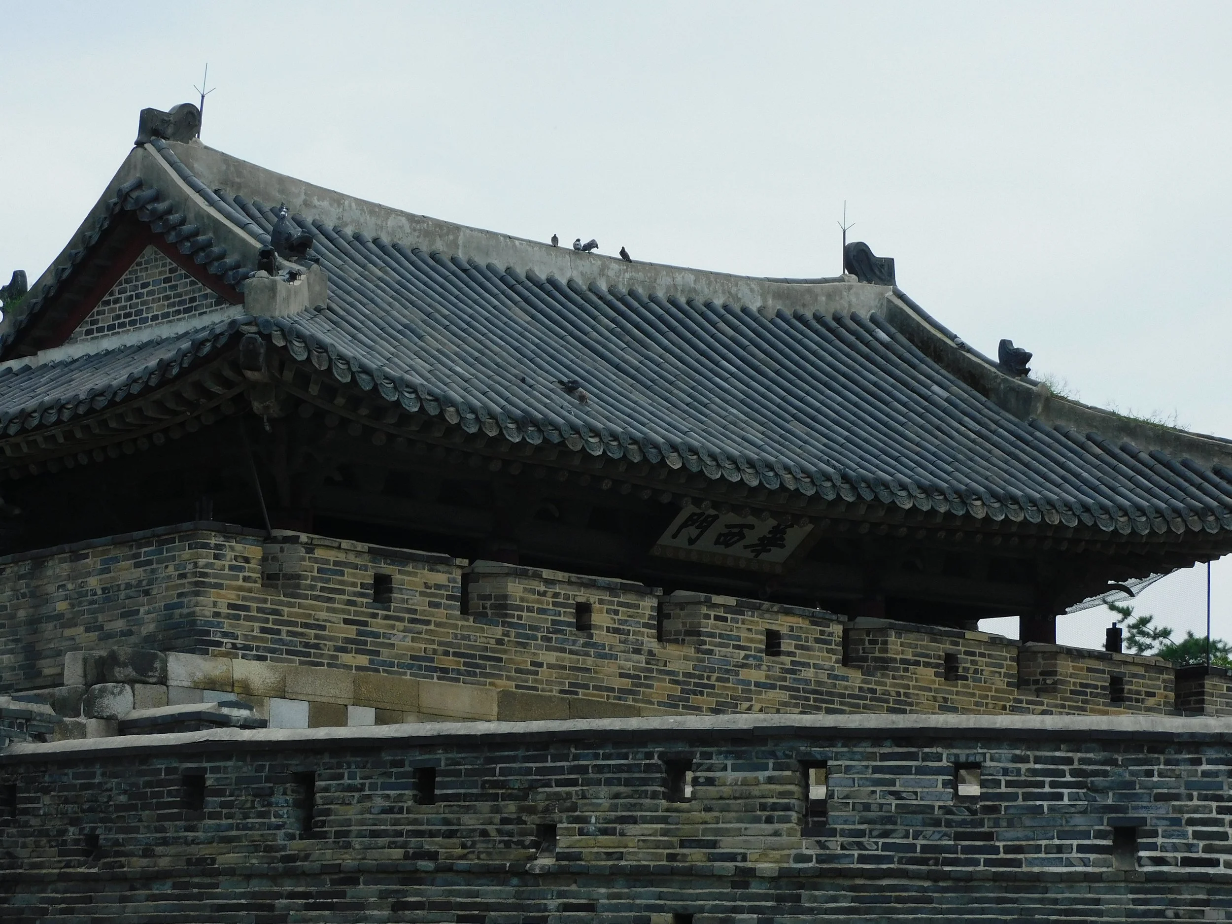 DSCN7100.JPG