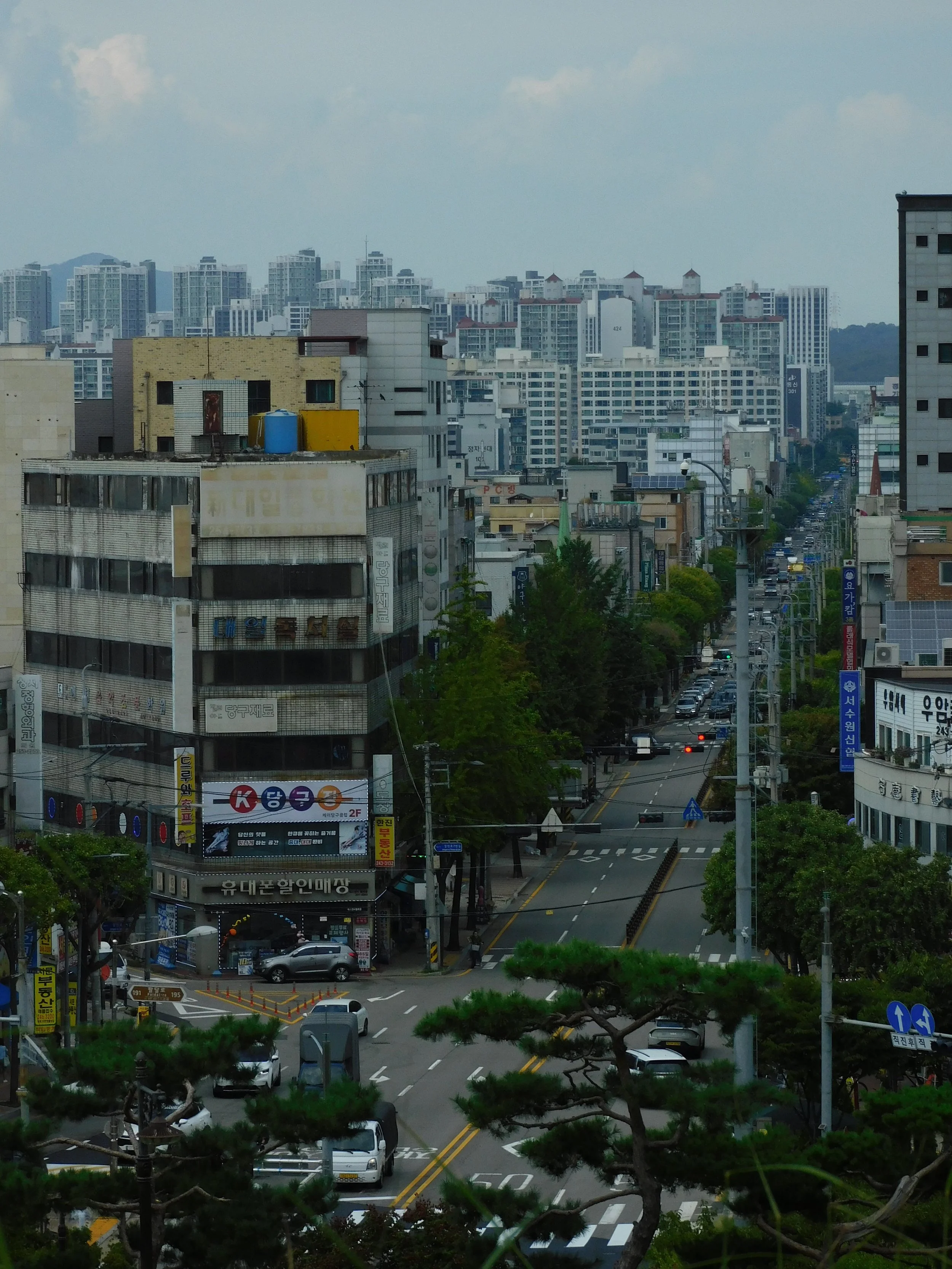 DSCN7113.JPG