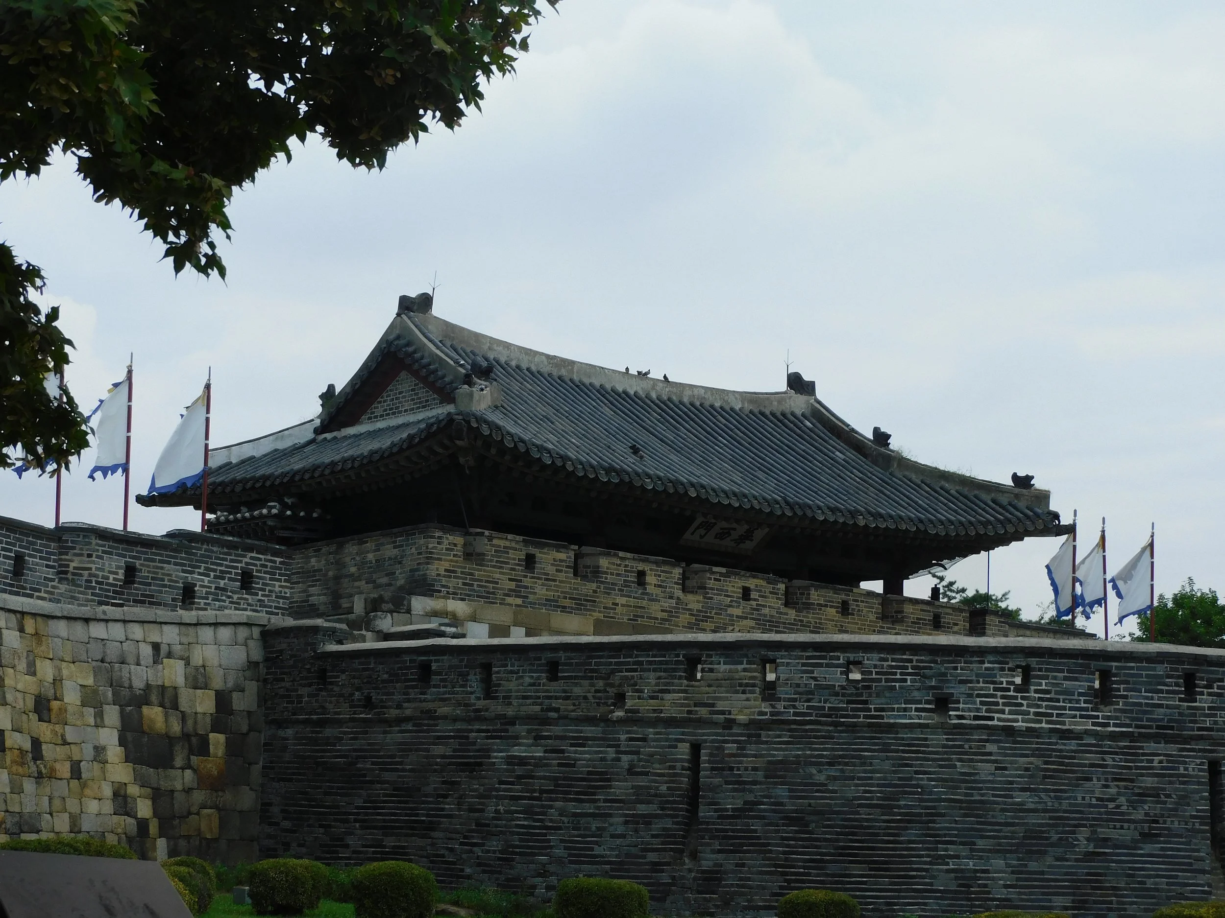 DSCN7103.JPG