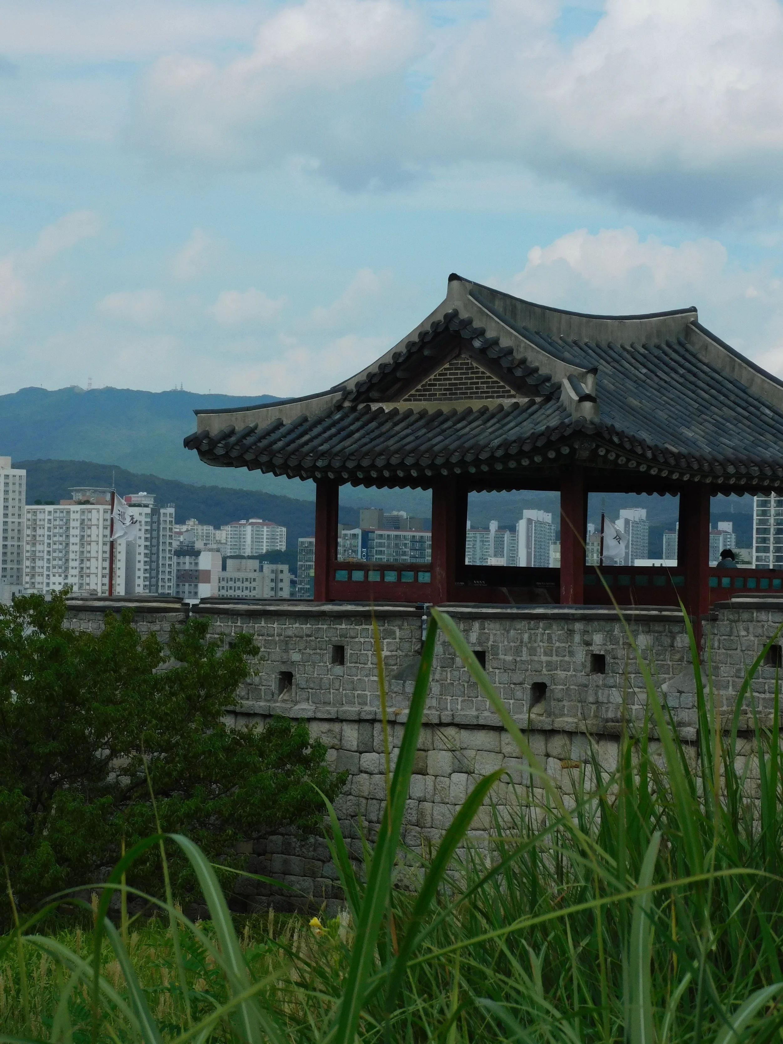 DSCN7119.JPG