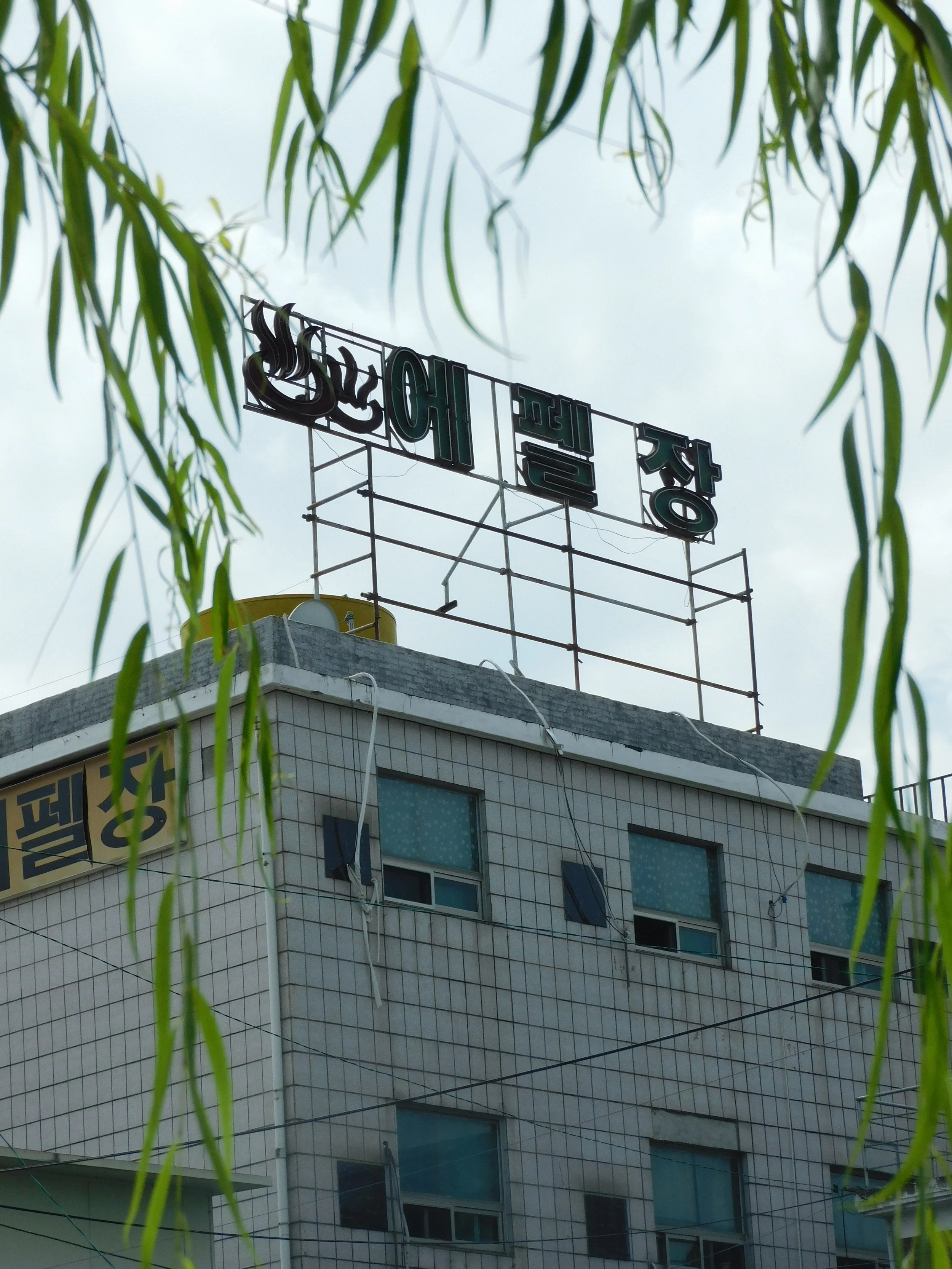 DSCN7218.JPG