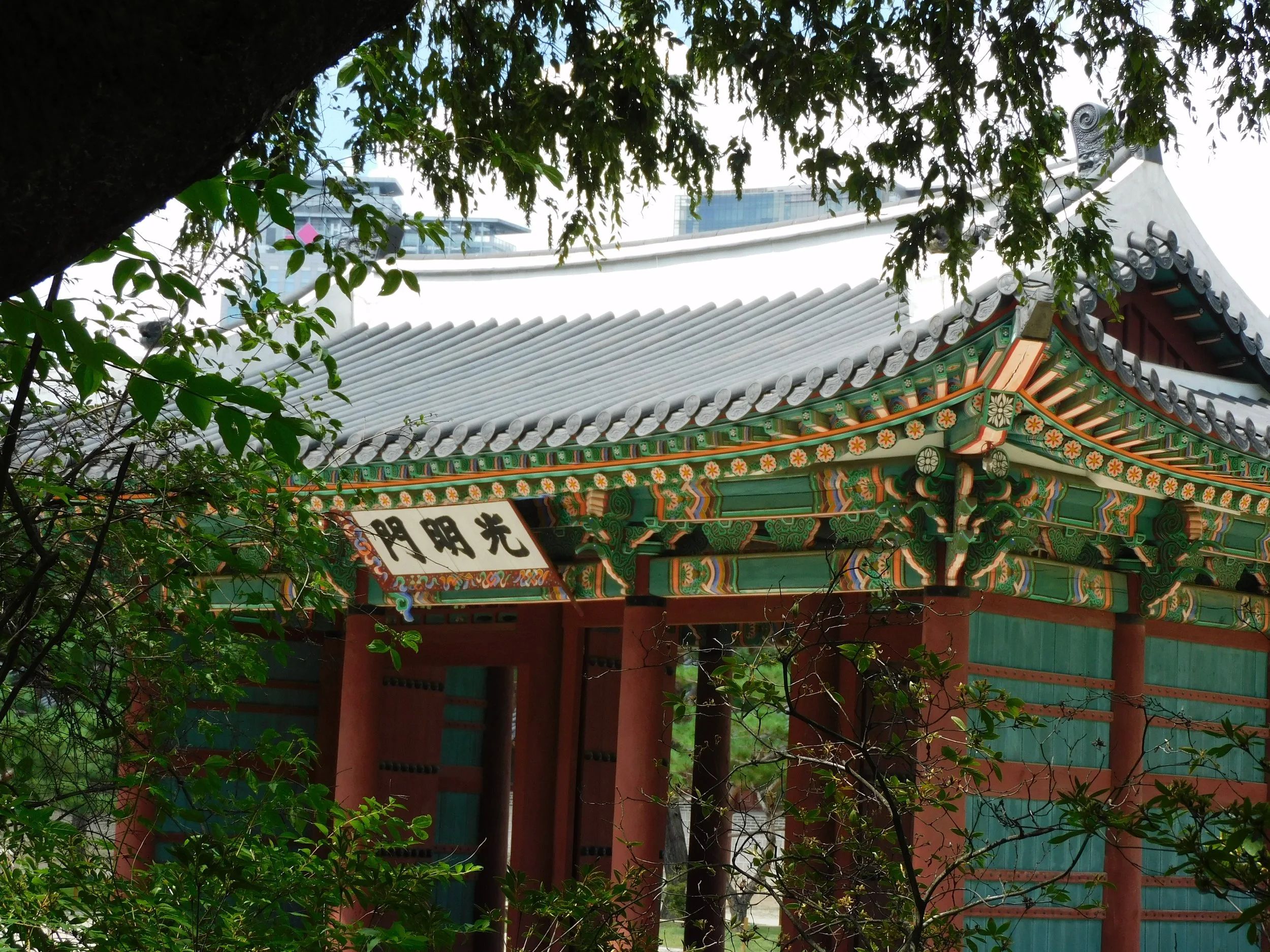 DSCN6893.JPG