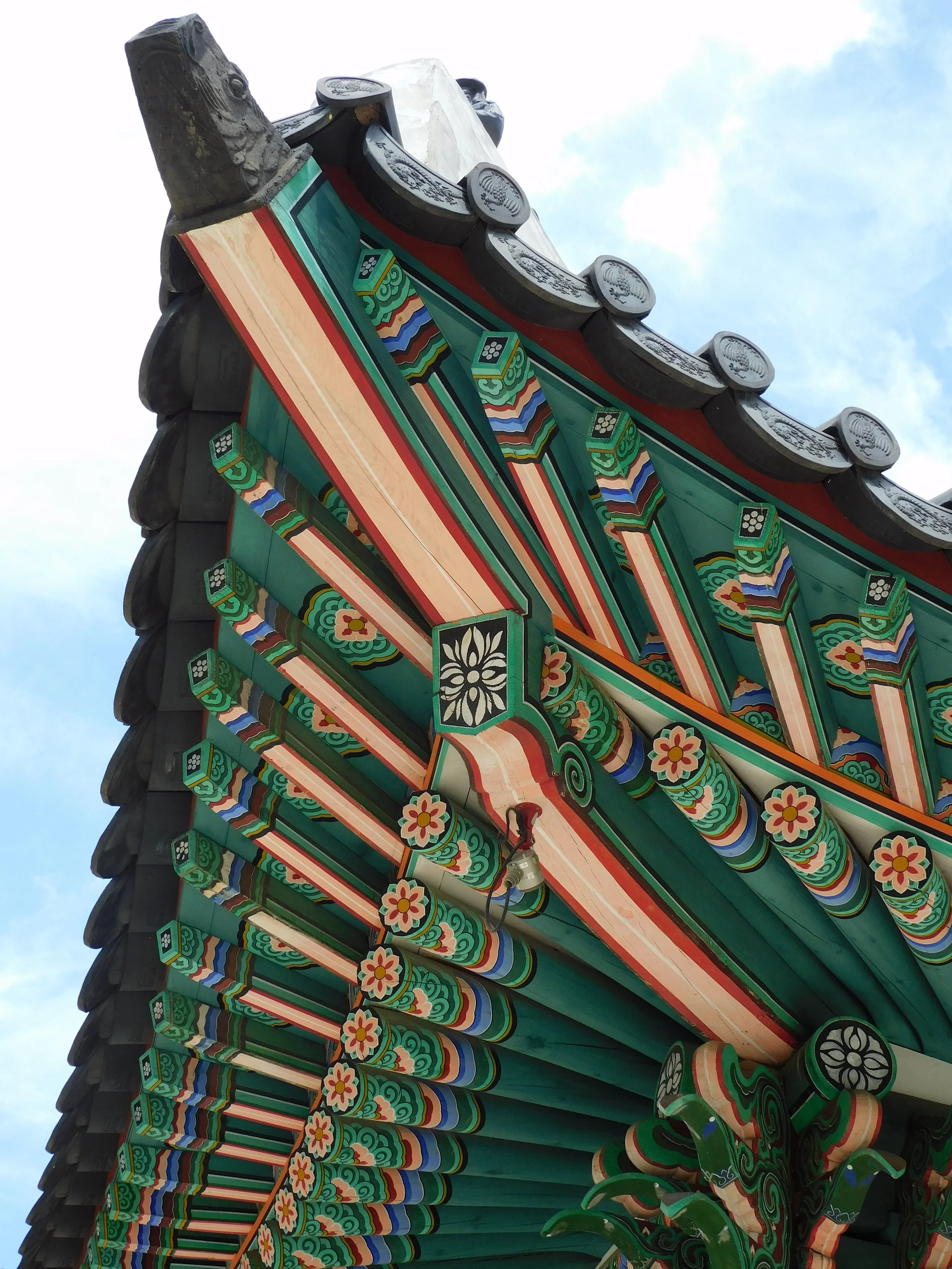 DSCN6905.JPG