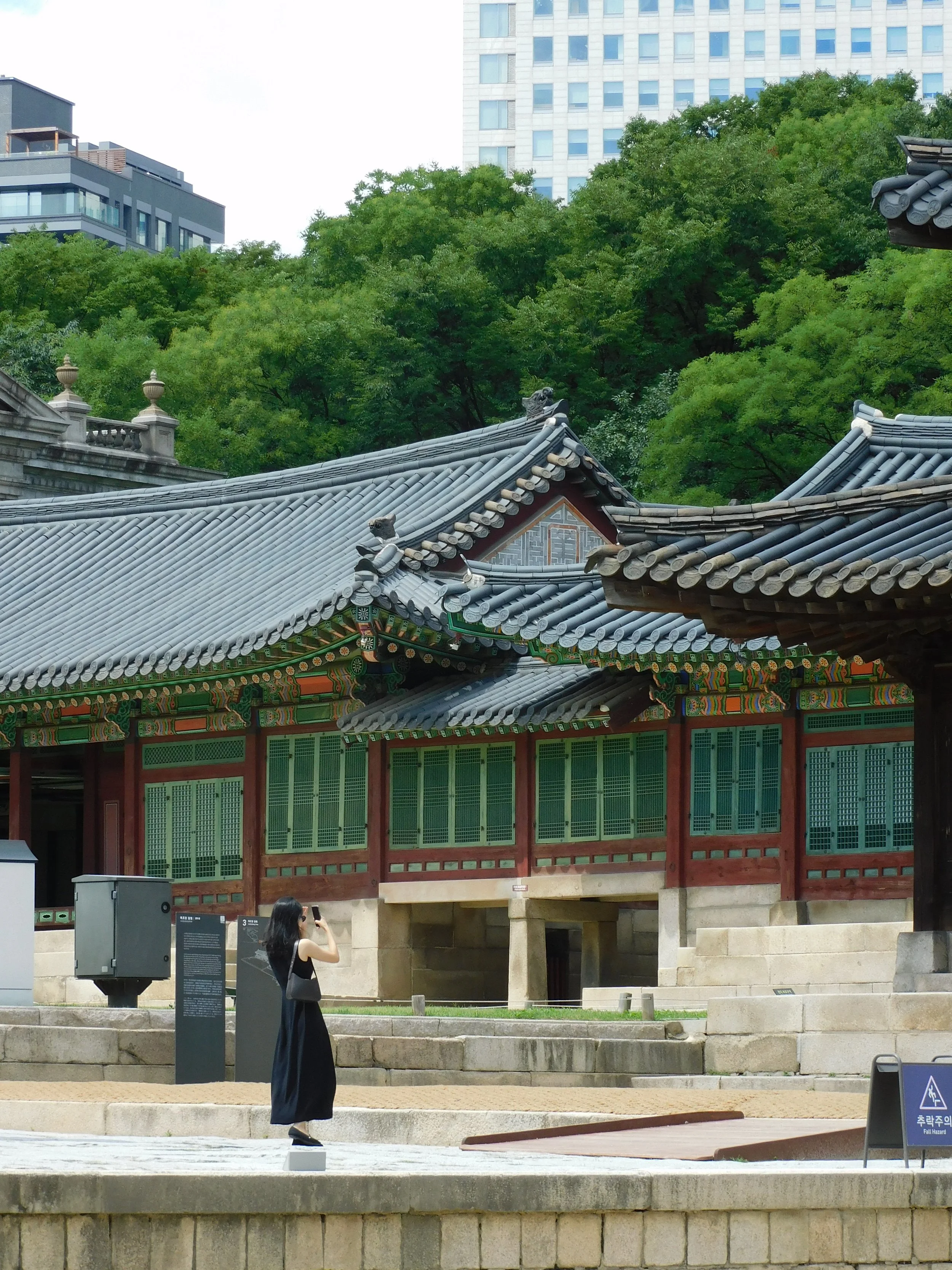 DSCN6916.JPG