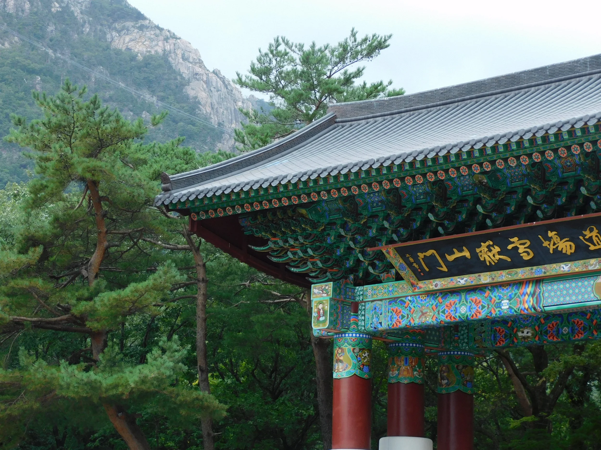 DSCN7852.JPG