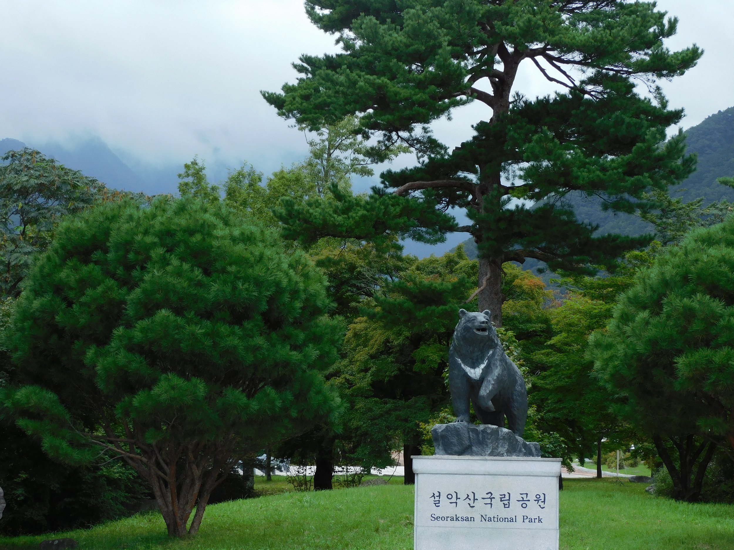 DSCN7859.JPG