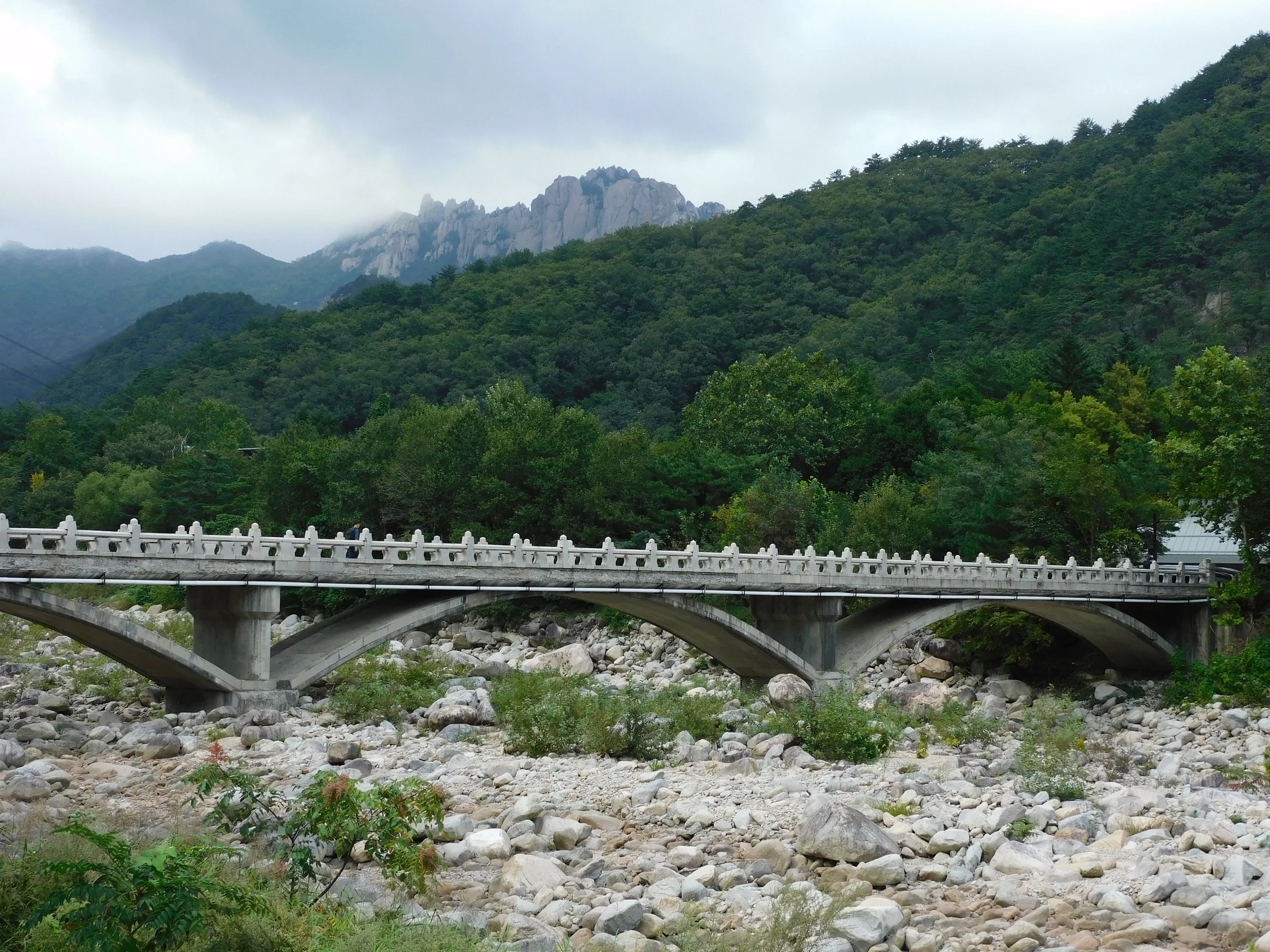 DSCN7872.JPG