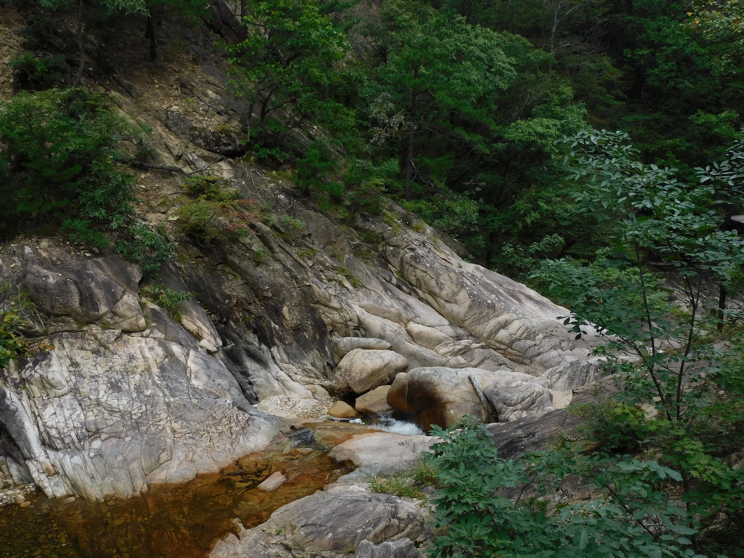DSCN7901.JPG