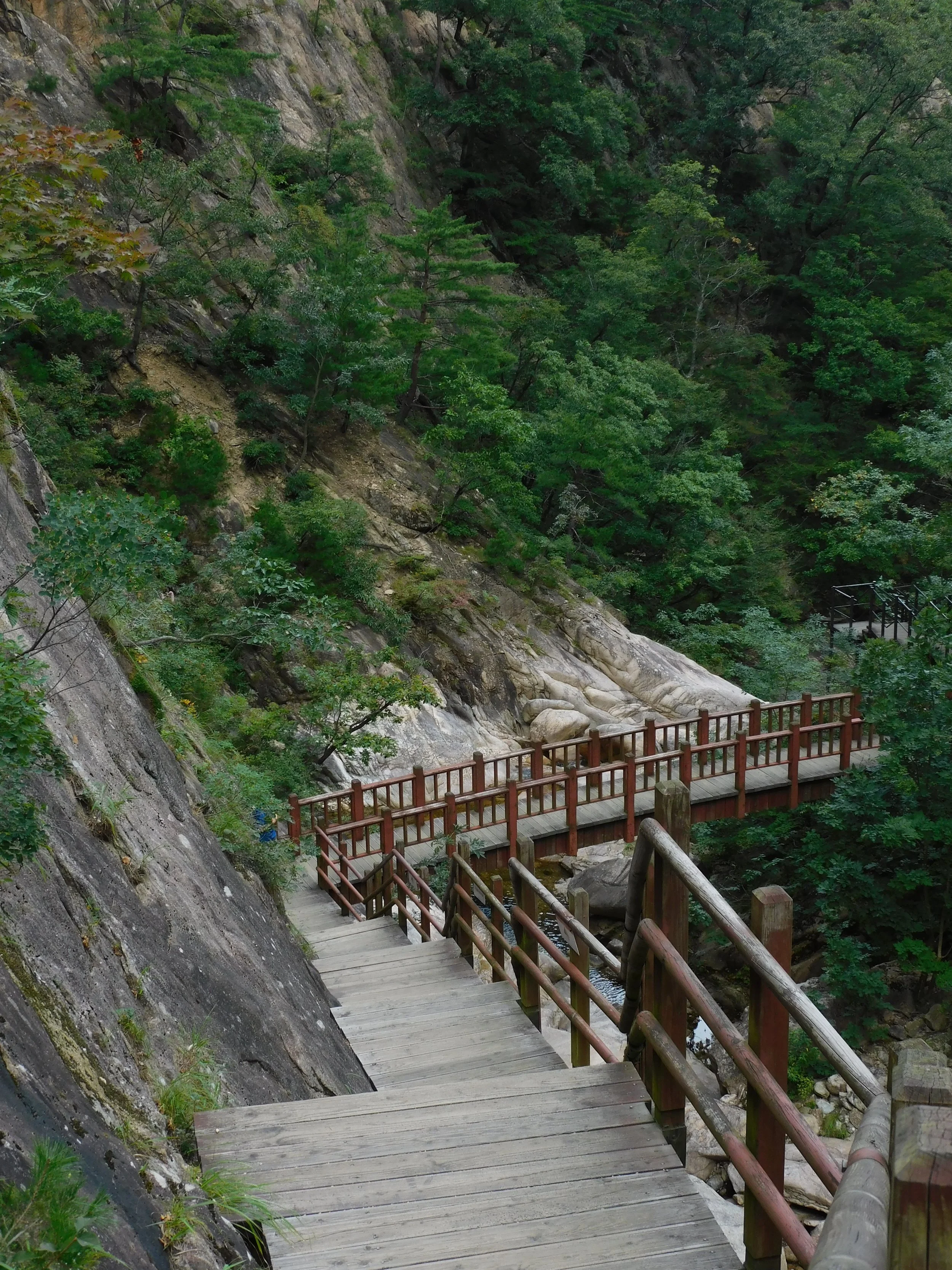 DSCN7905.JPG