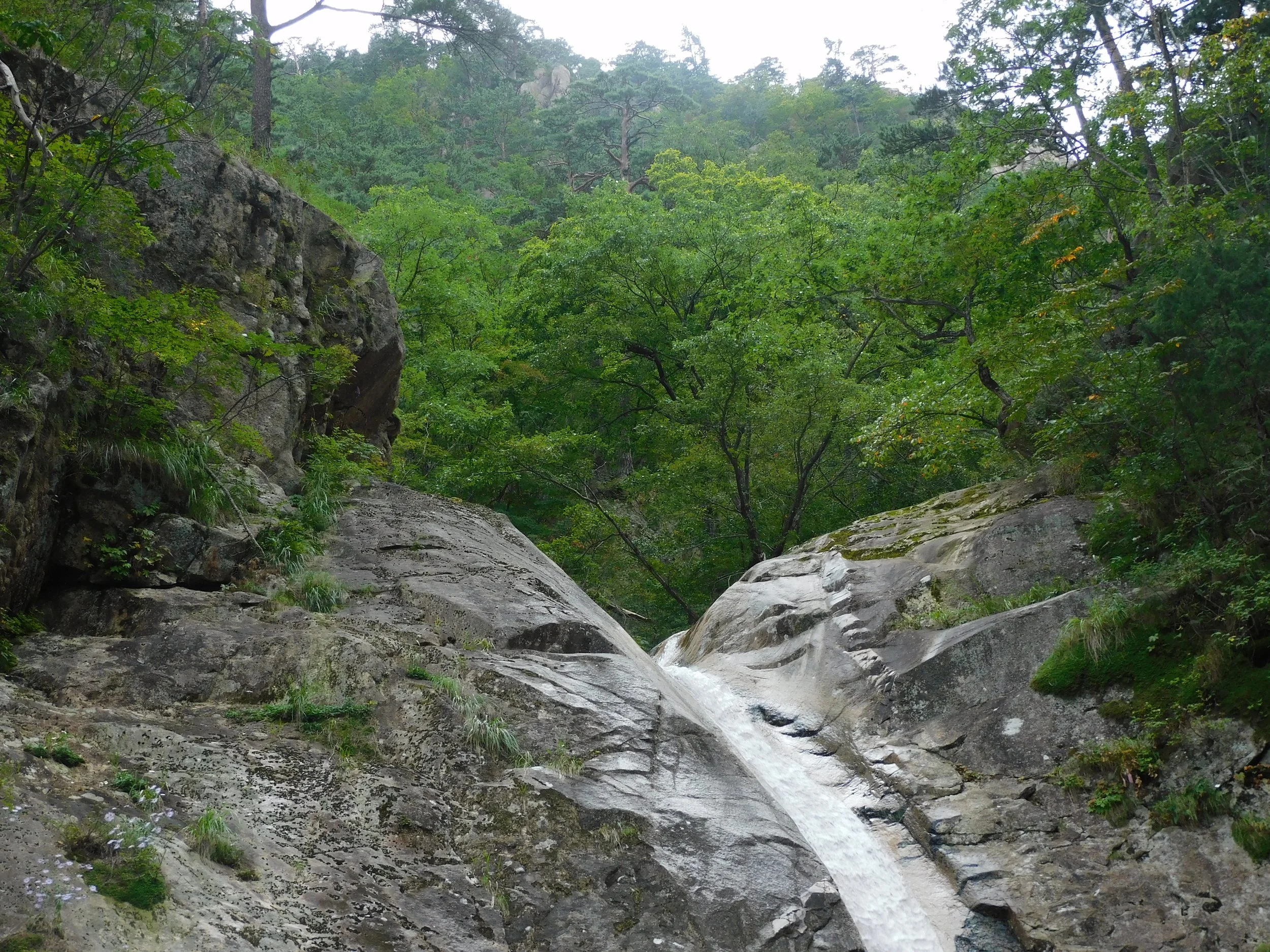 DSCN7957.JPG