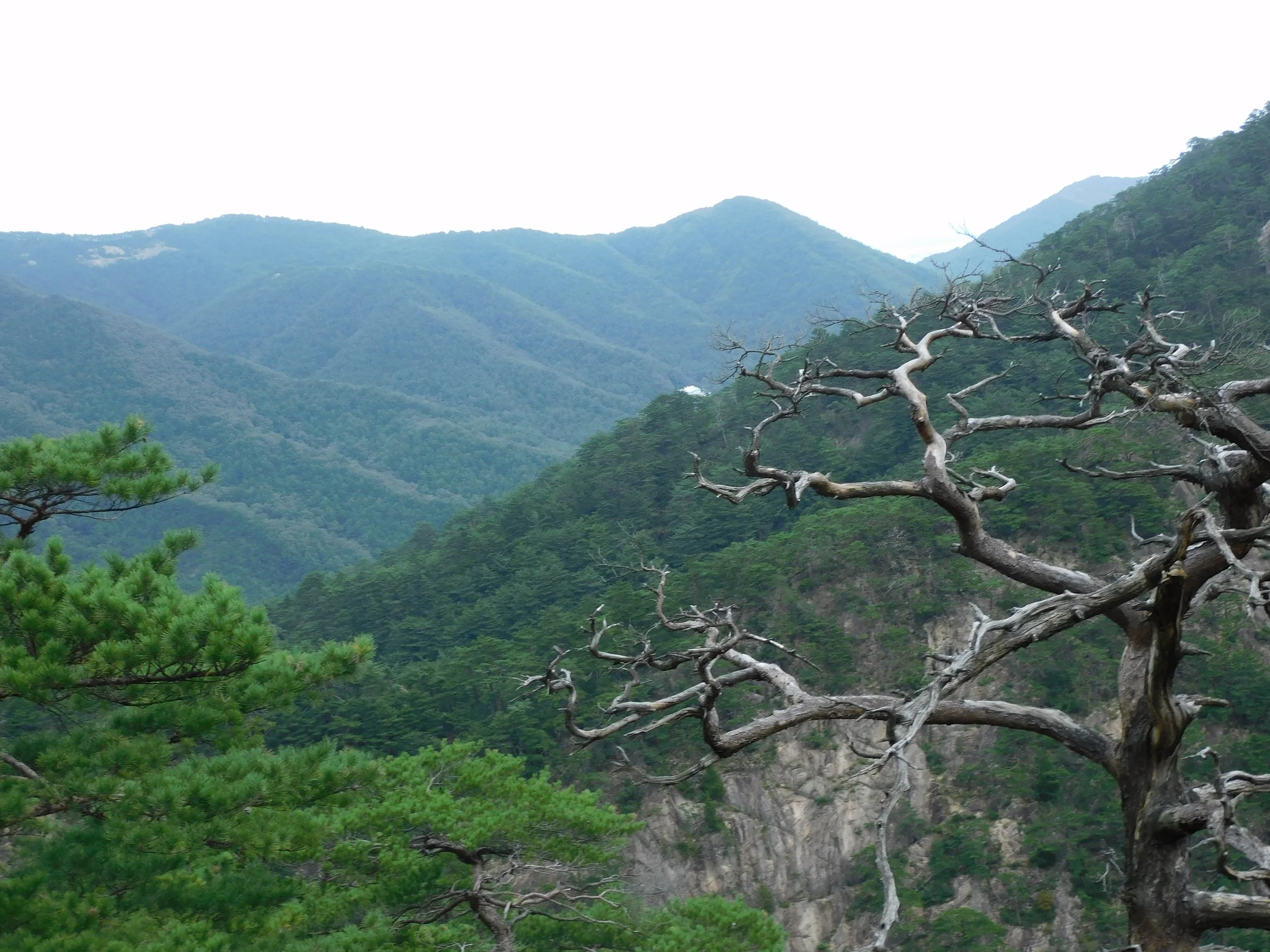 DSCN7997.JPG