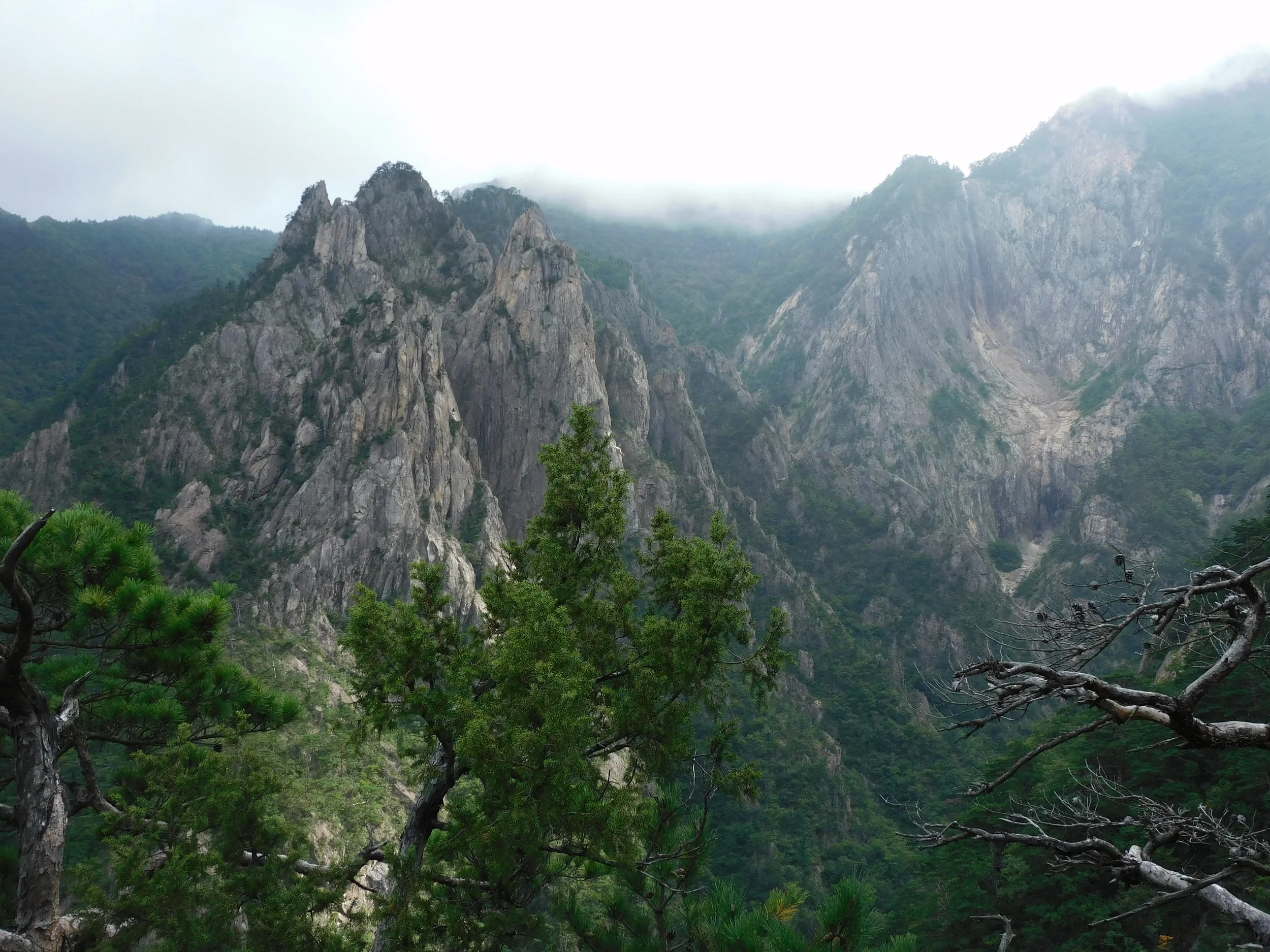DSCN8030.JPG