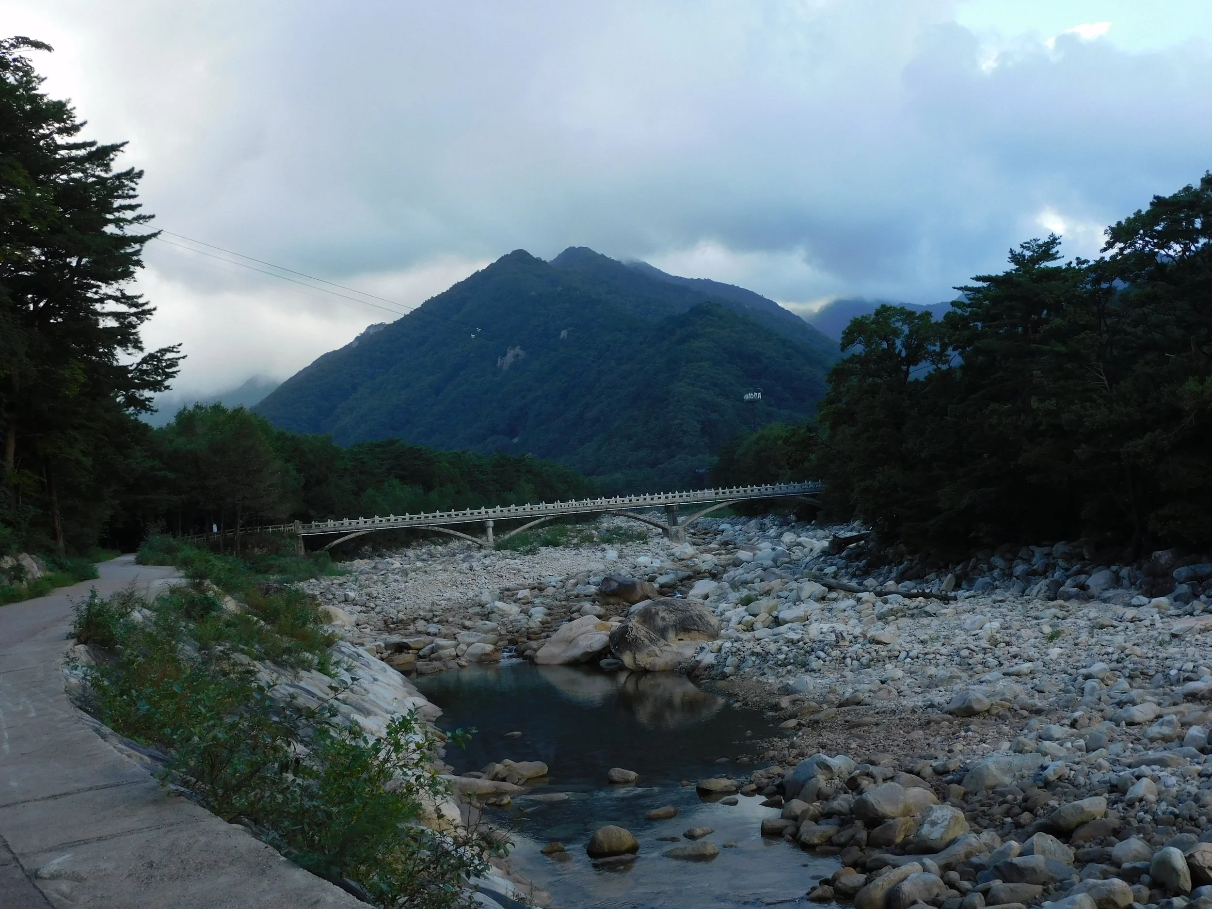 DSCN8061.JPG