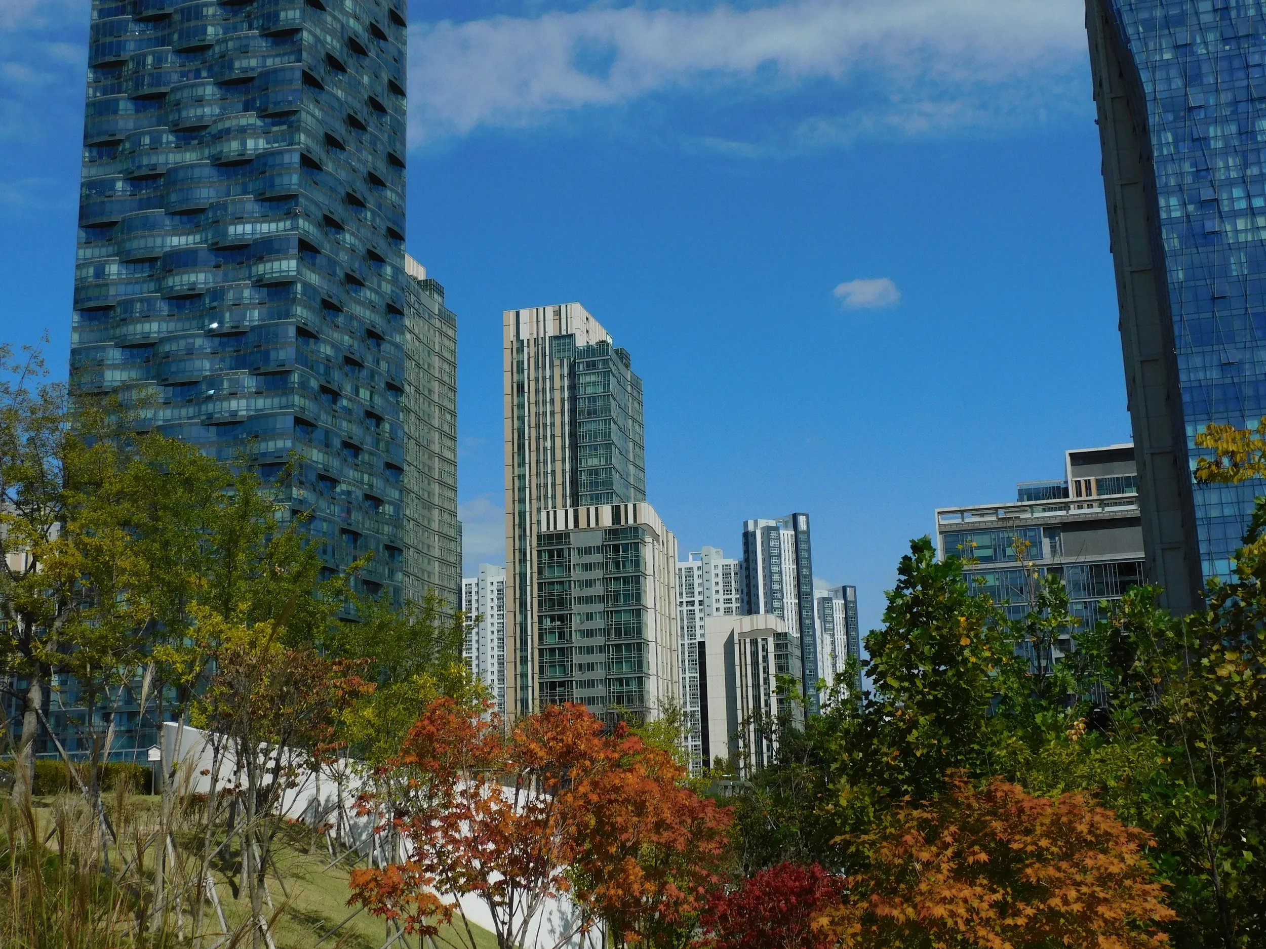 DSCN8806.JPG