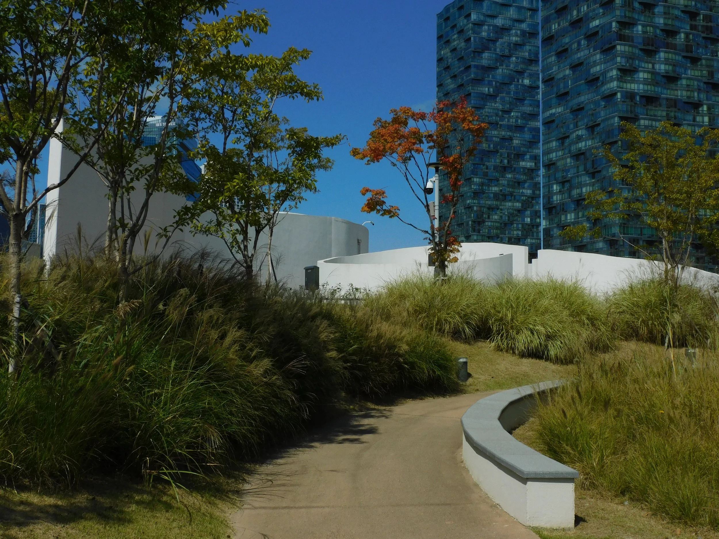 DSCN8809.JPG