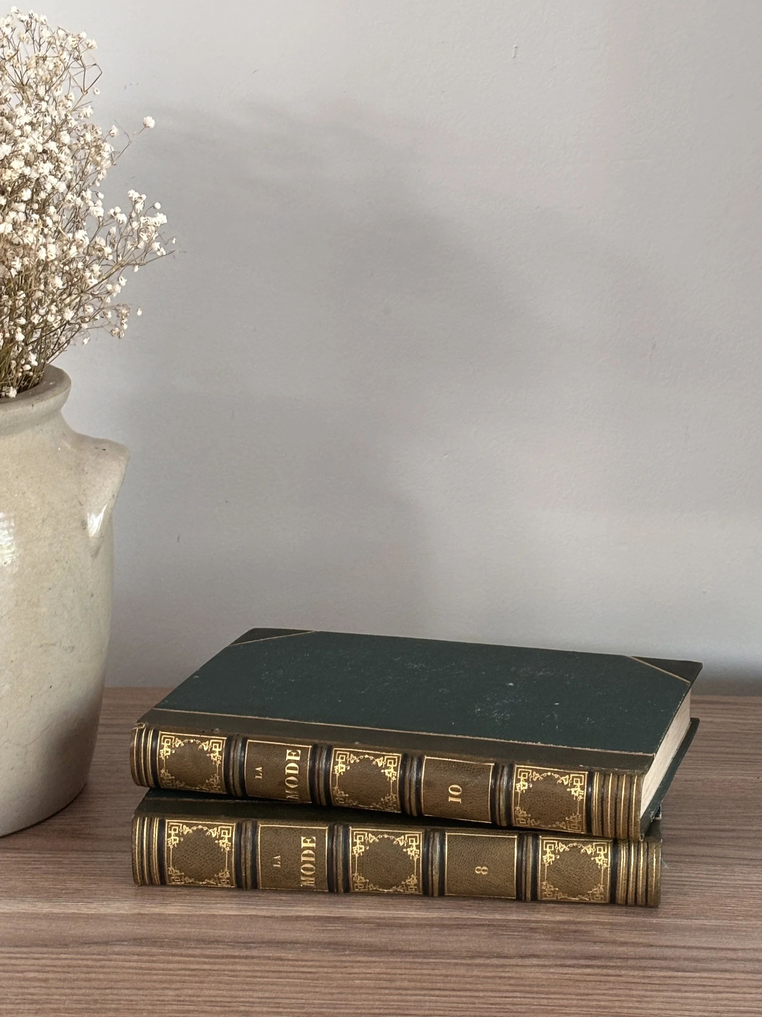 Antique Set Of Two French Books