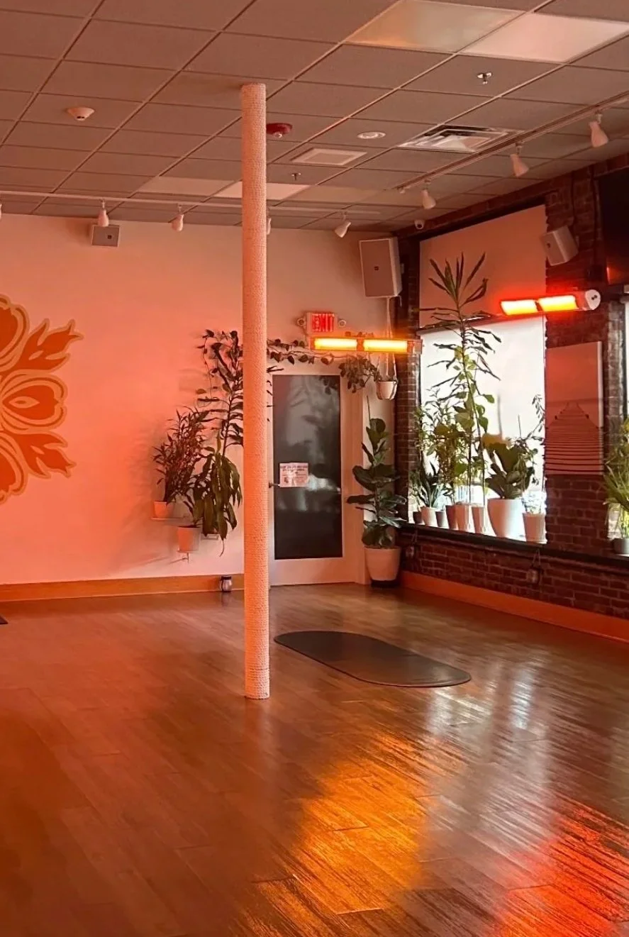 the negro mate capsula mat laid out in a yoga studio surrounded by green plants and red lamps.