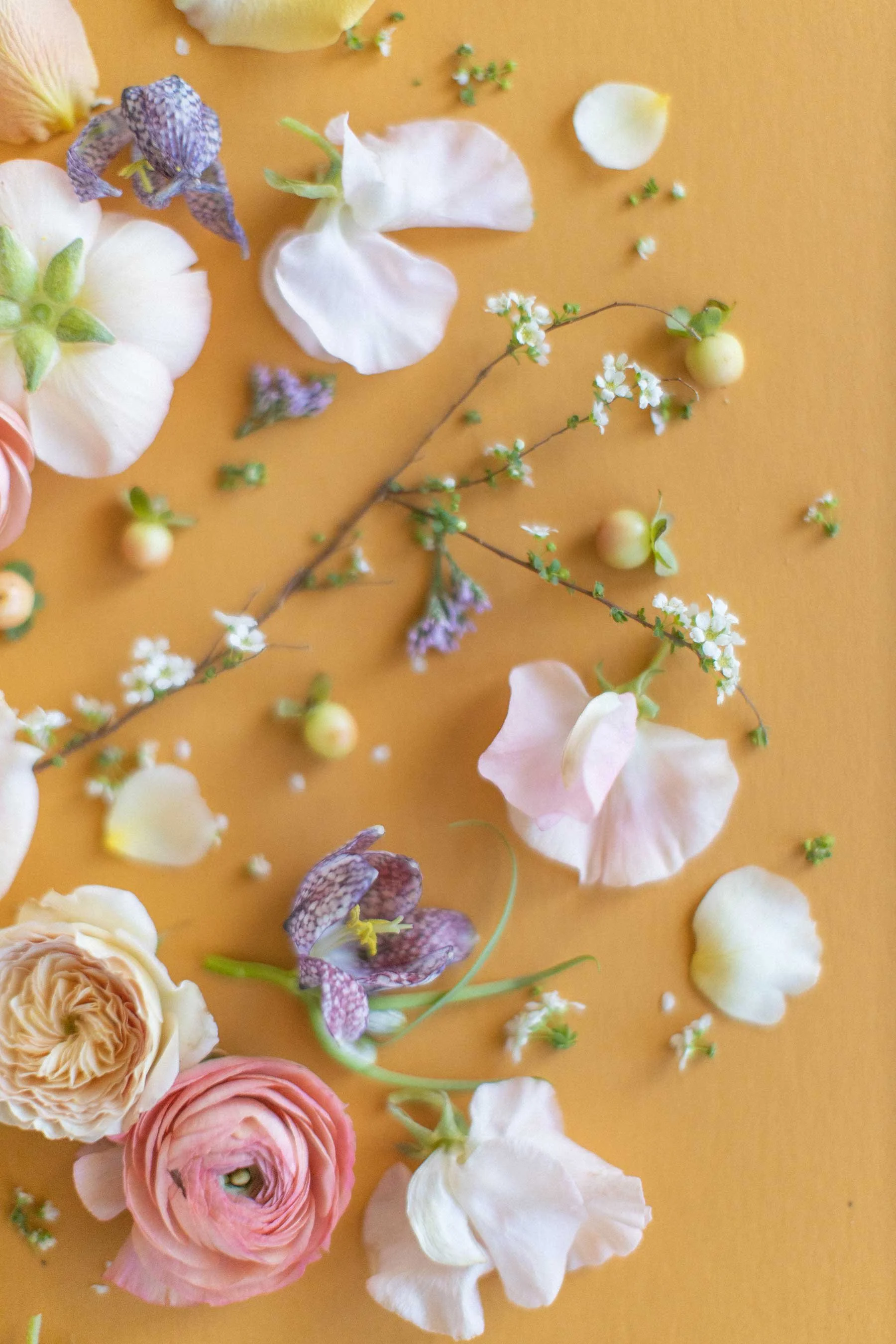 Florist & Flower Delivery in San Diego