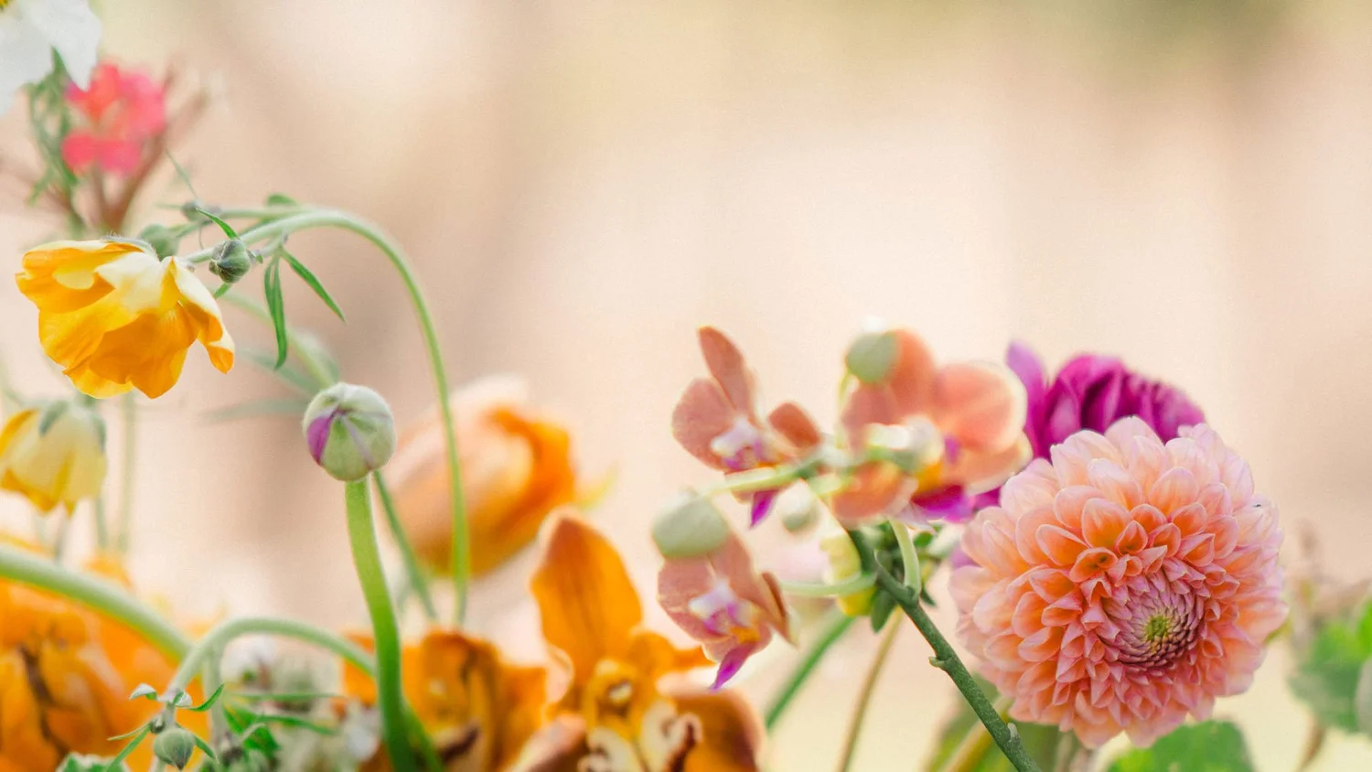 Florist in Encinitas — The Flower Shop