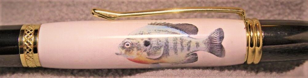 fish-sunfish (1002x256).jpg