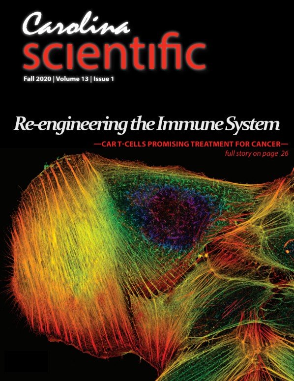 FA2020 Cover.jpg