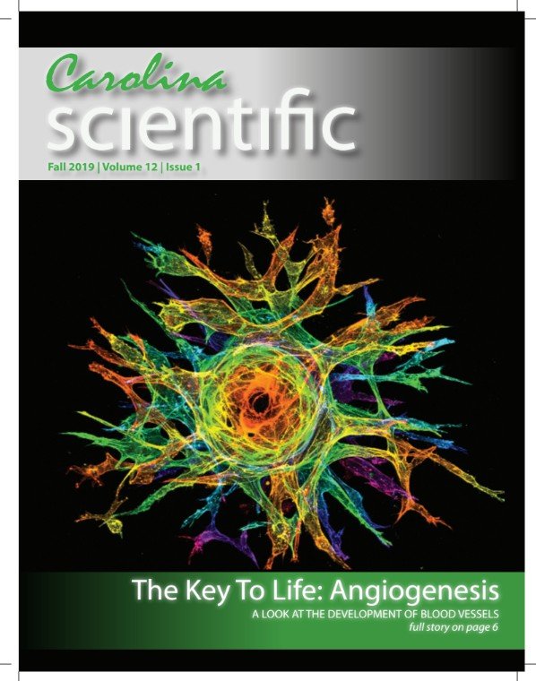 FA2019 Cover.jpg