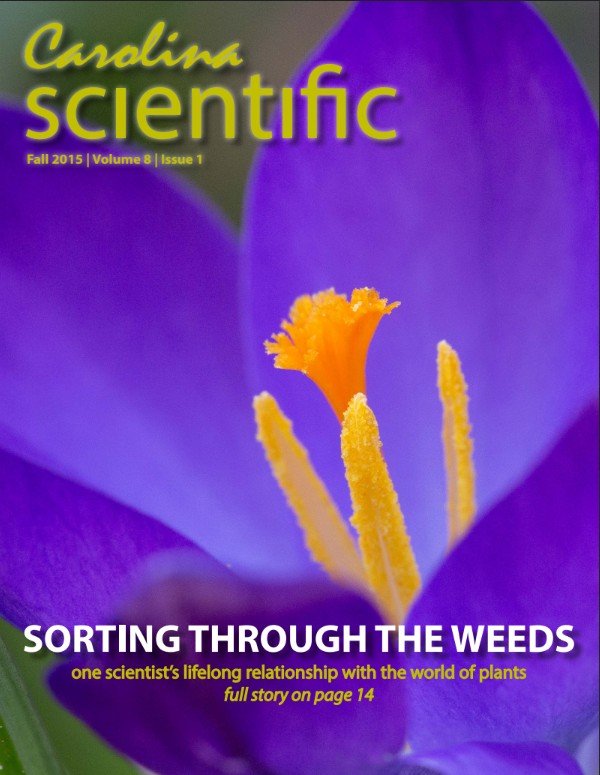 FA2015 Cover.jpg