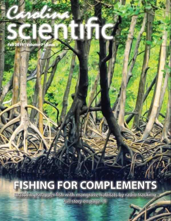 FA2014 Cover.jpg