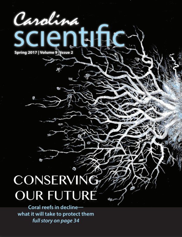 SP2017 Cover.jpg