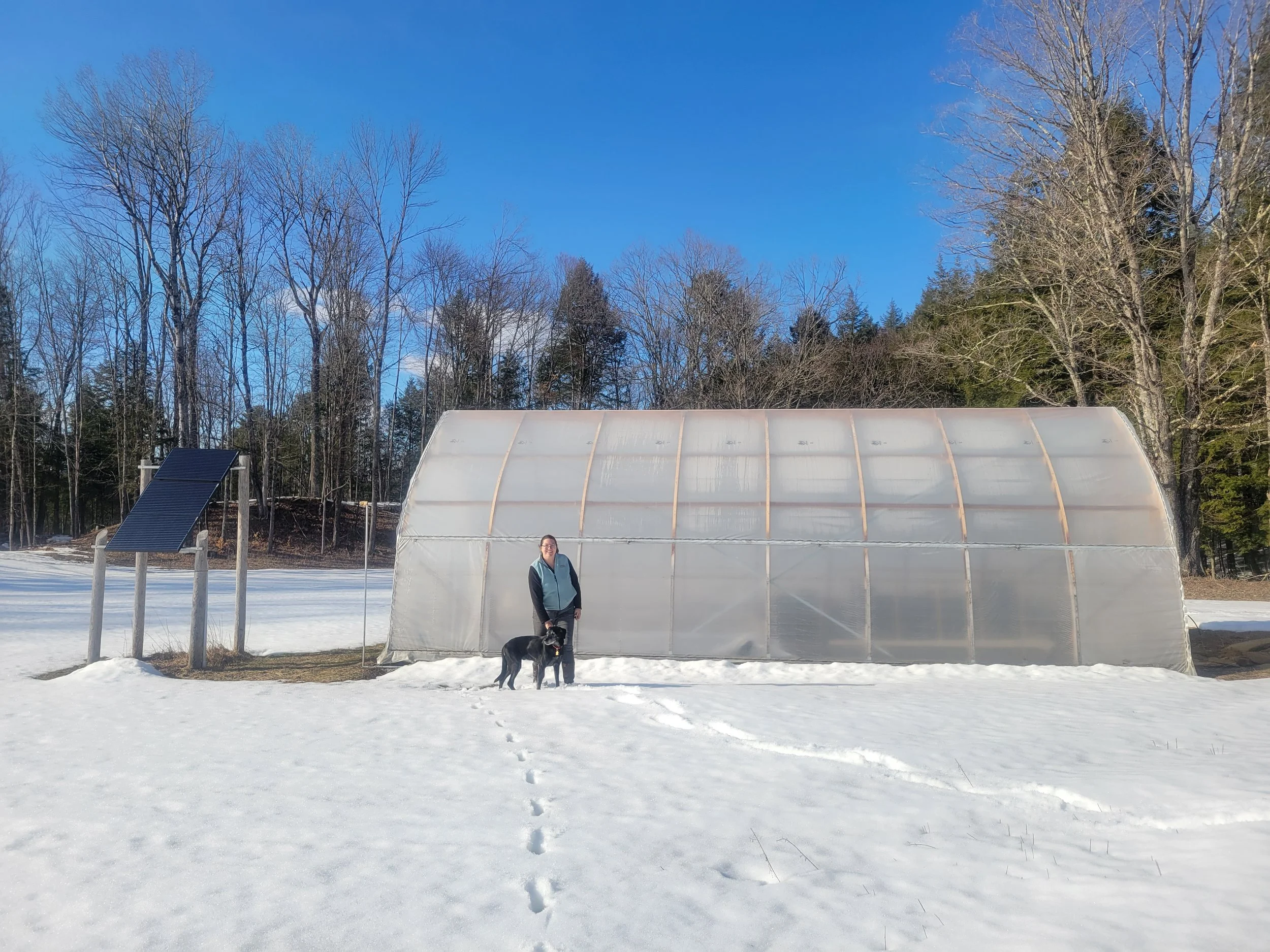 Greenhouse_winter.jpg