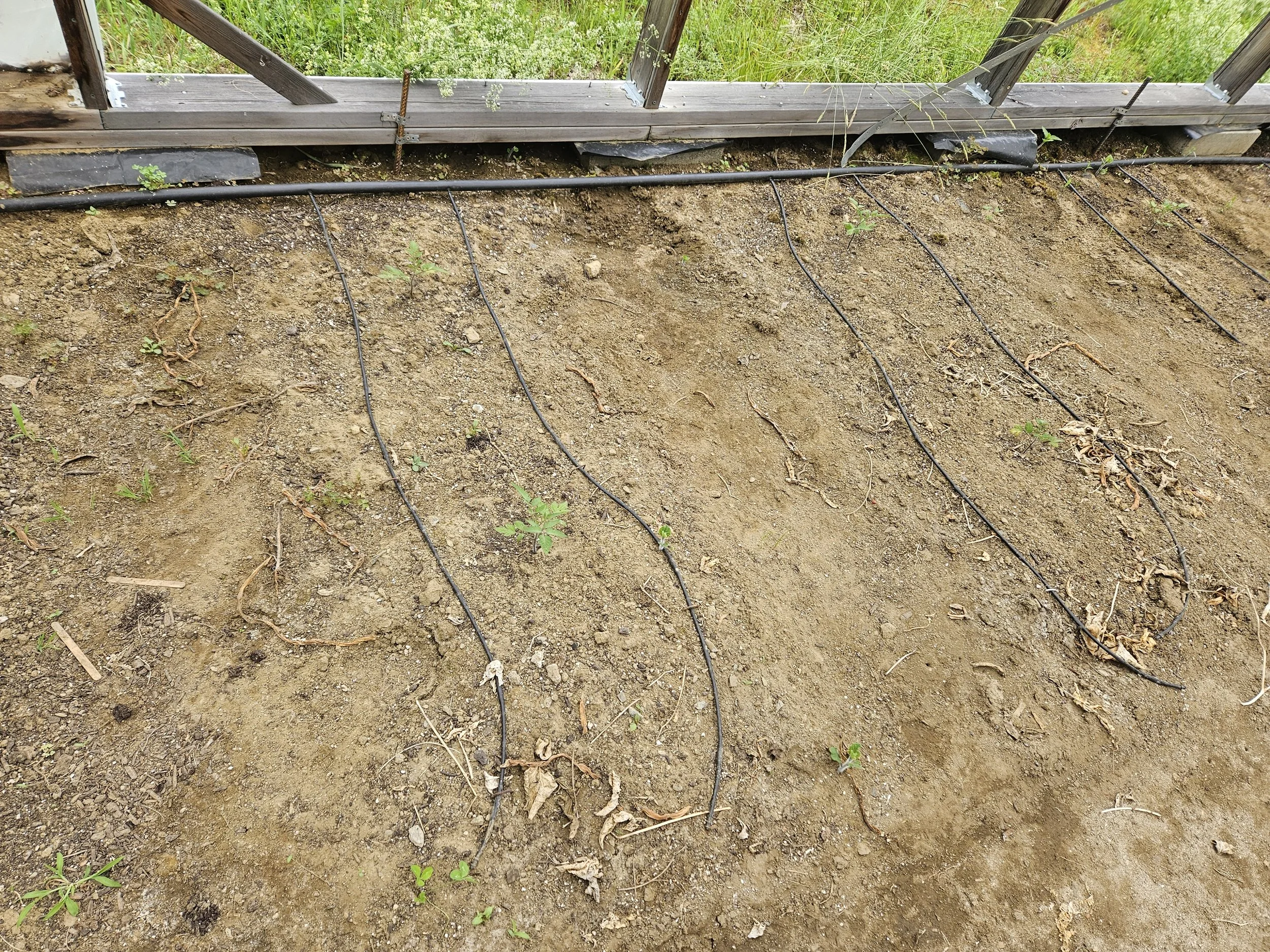 Drip line feeders in each bed off of 3/4" irrigation mains