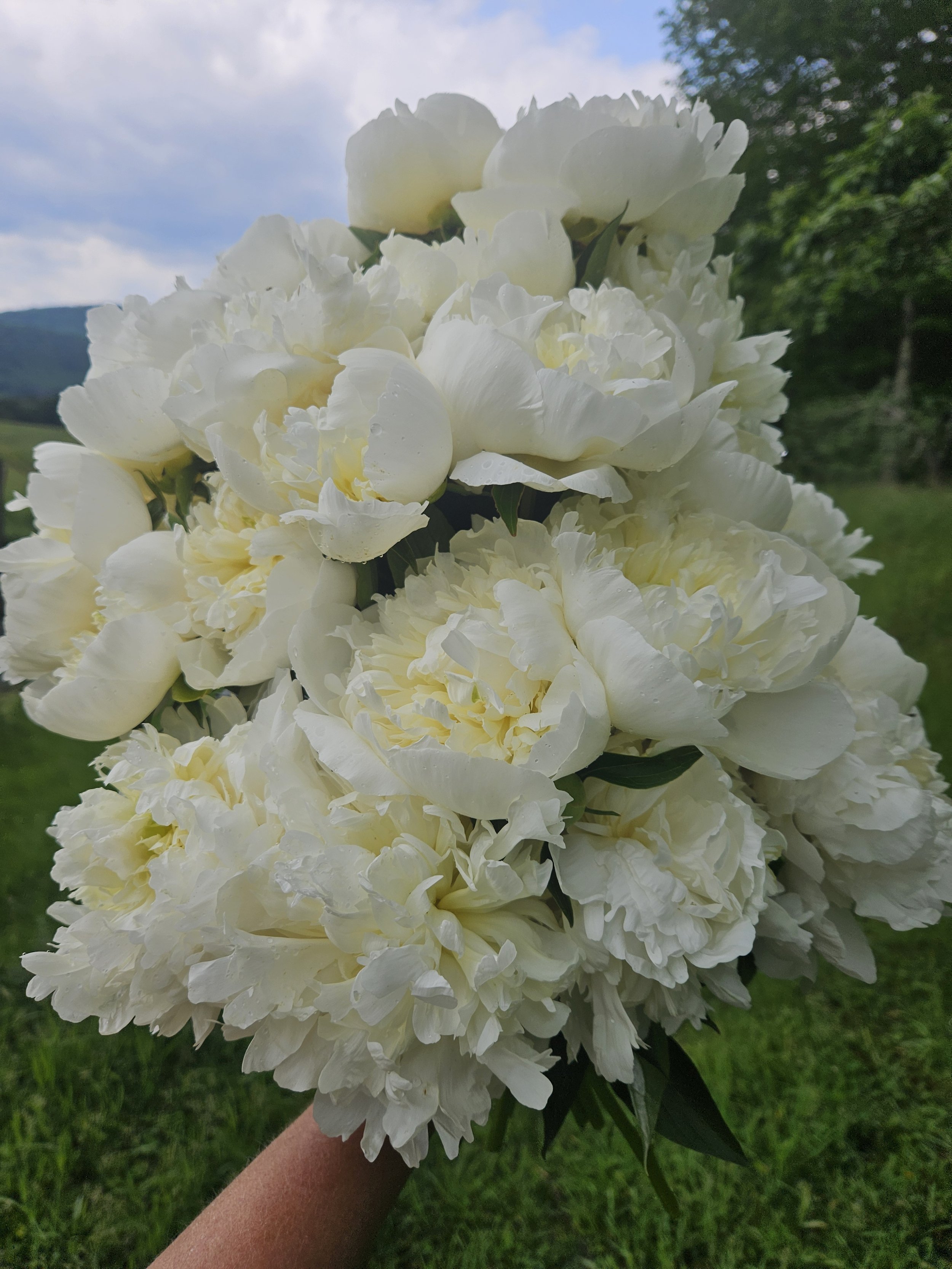 A bundle of Charles White