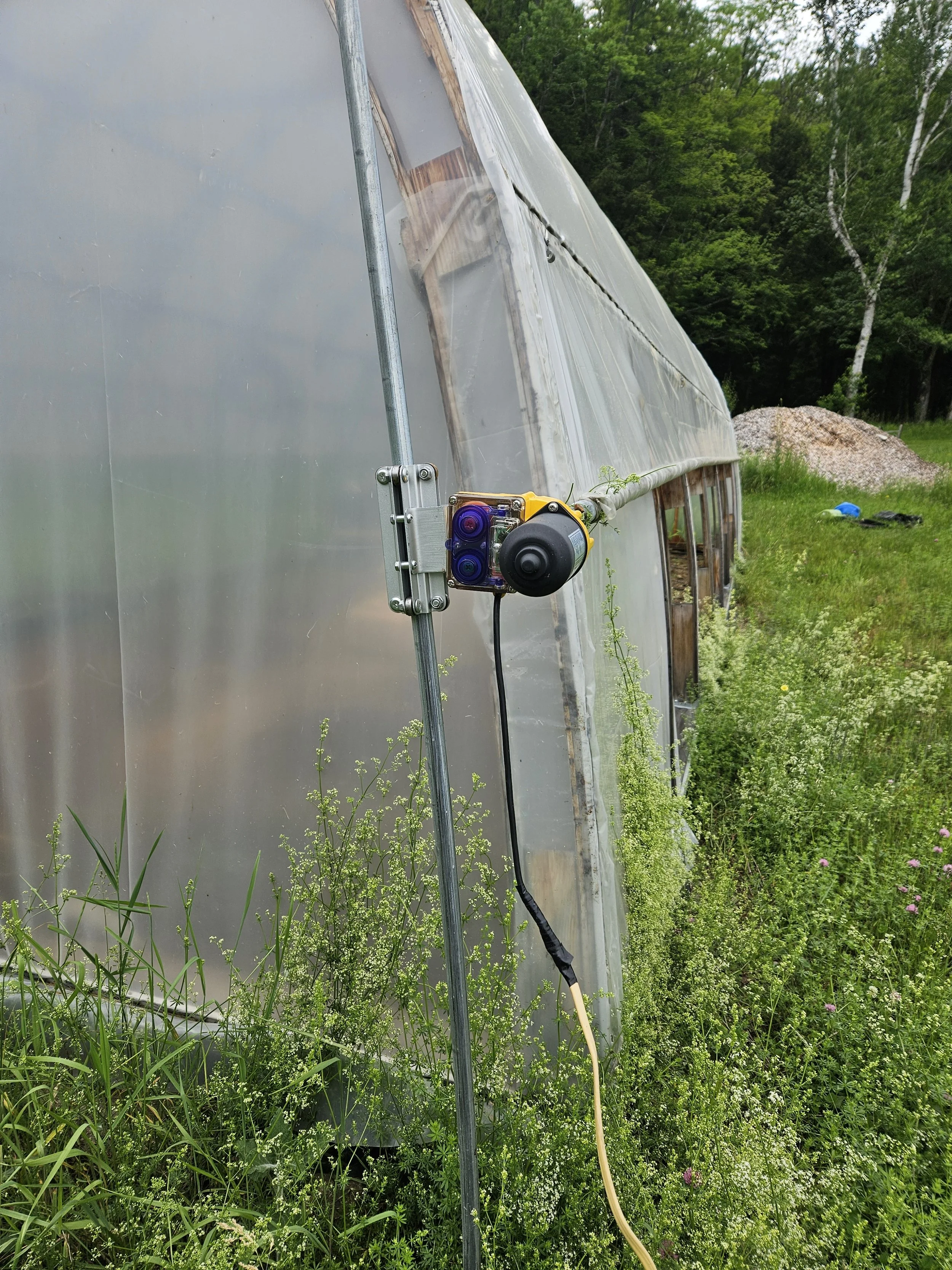 Side curtain view (rear)