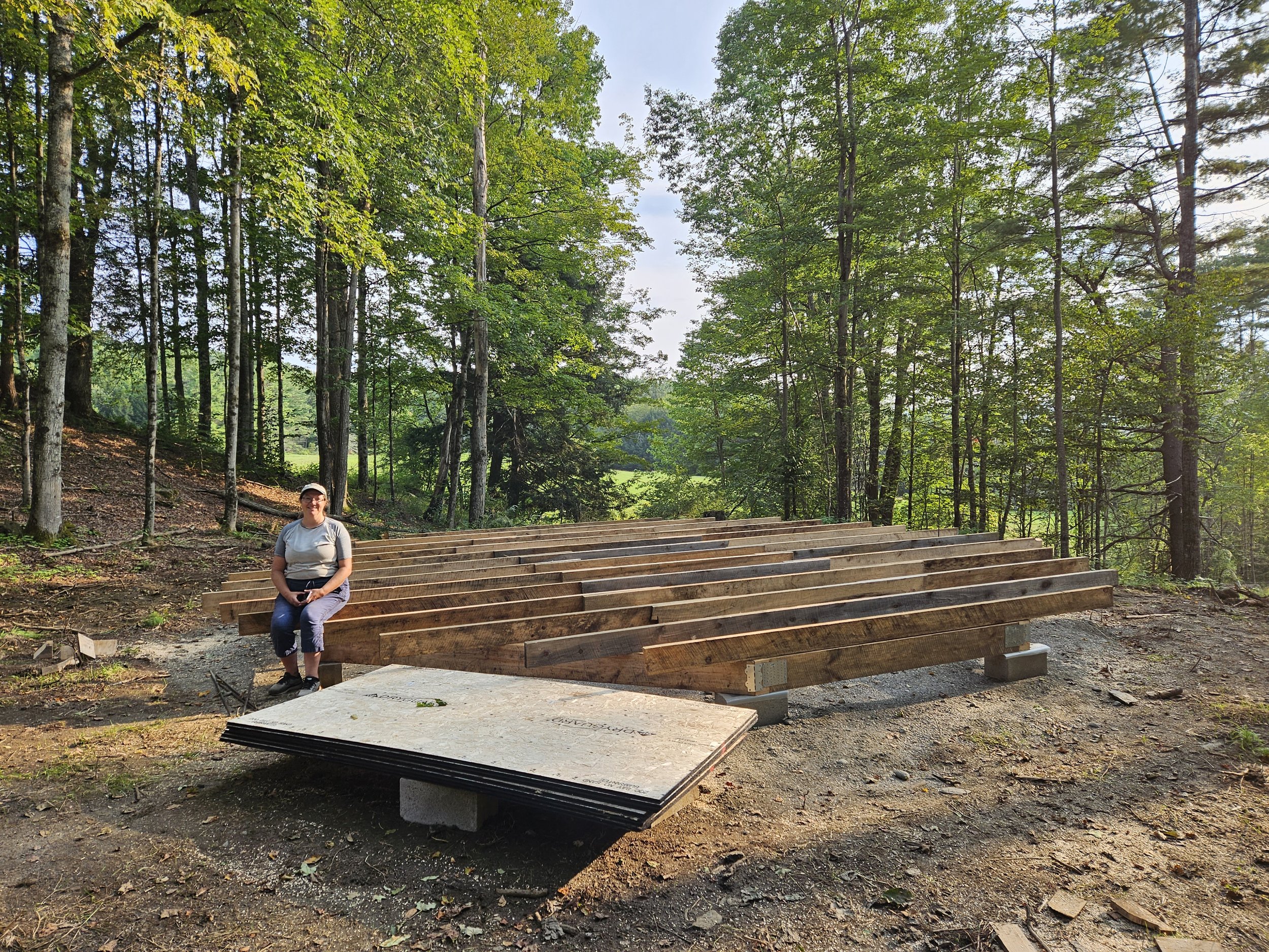 Platform joists installed. Next step is insulation.