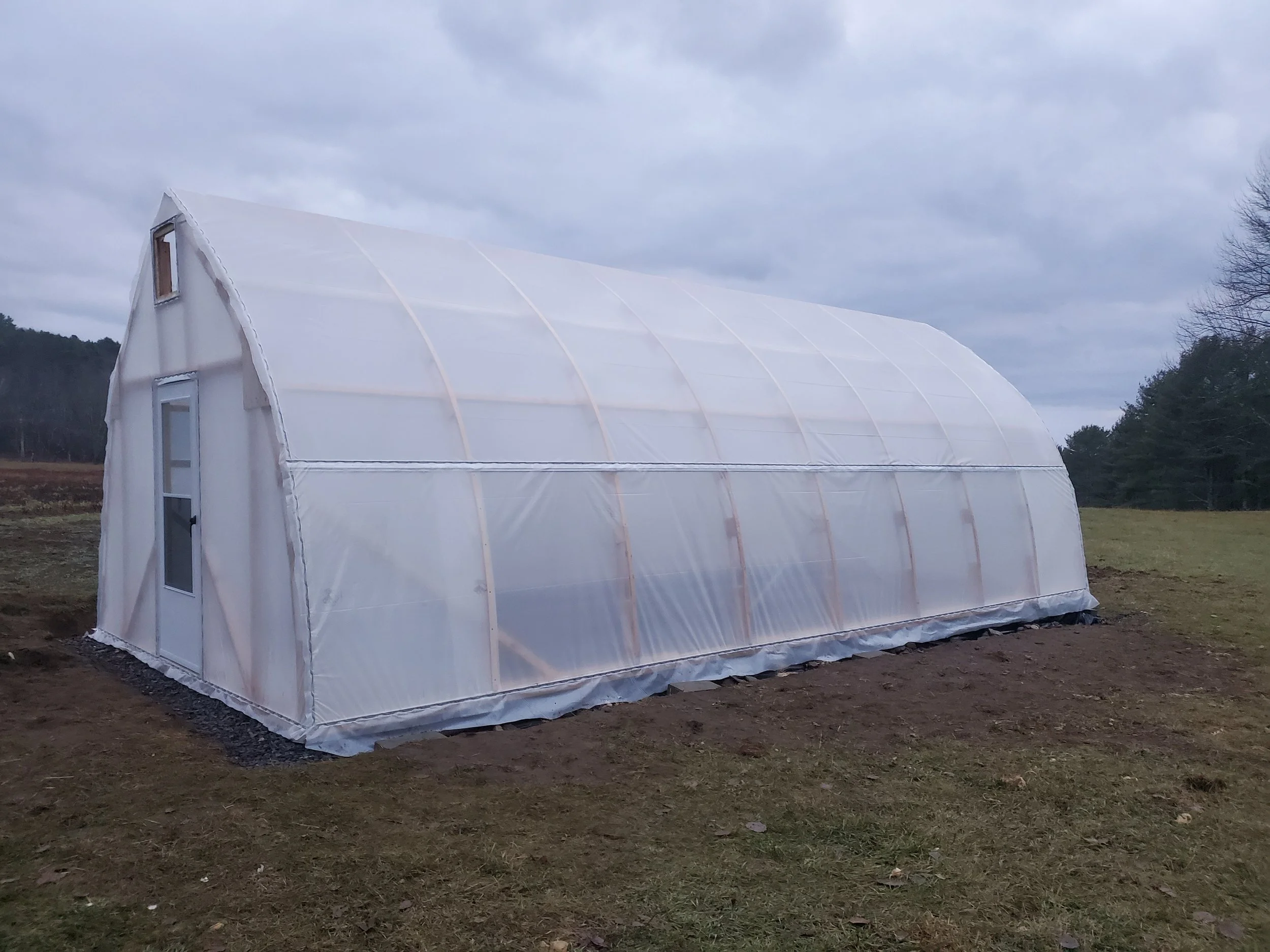 Plastic sheeting installed throughout