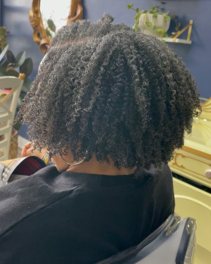 Swipe to see where we started almost 4 years ago!

Ms Ann had transitioned for a year before she came for her big shop. Once we cut it, we did finger coils. Once her hair got too long for those, we went to twists. After the twists, she decided she wa